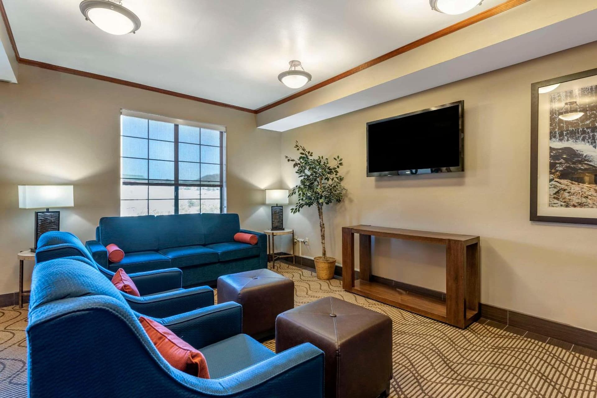 Comfort Suites Castle Rock - Denver South gallery photo in Castle Rock, CO — image 7