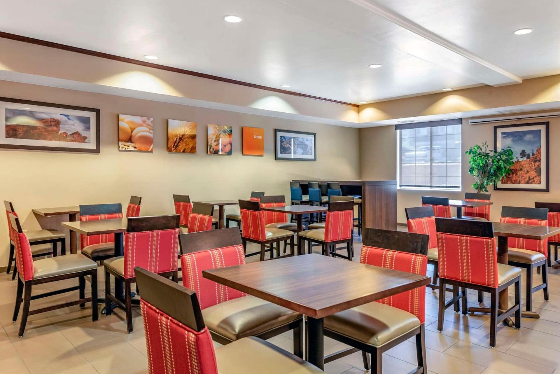 Comfort Suites Castle Rock - Denver South gallery photo in Castle Rock, CO — image 29