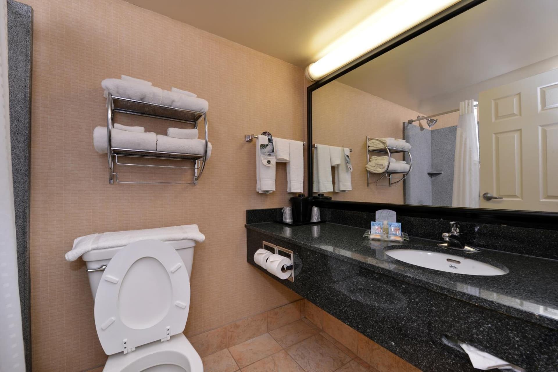 Holiday Inn Martinsburg by IHG gallery photo in Martinsburg, WV — image 23