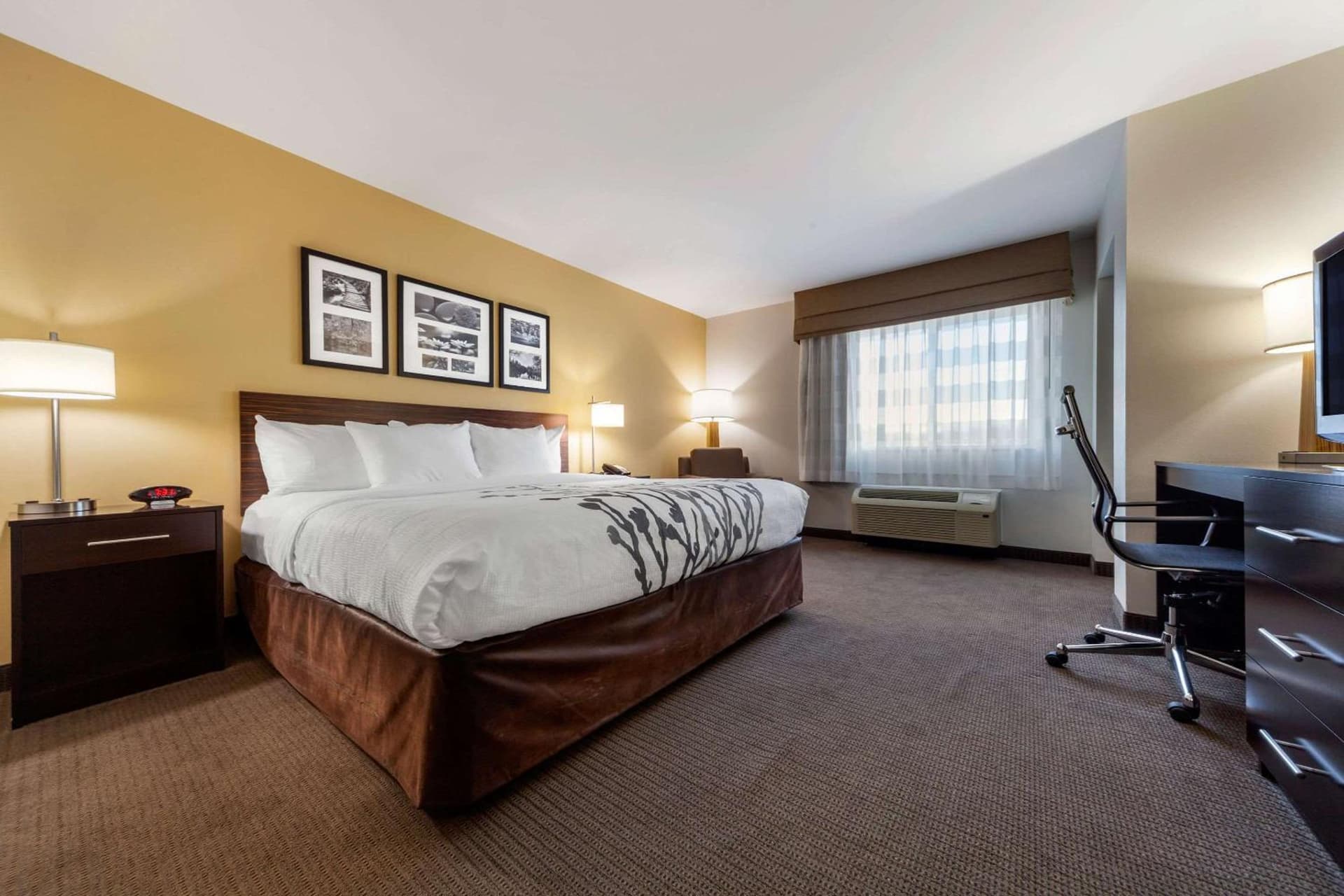 Sleep Inn & Suites Bismarck I-94 gallery photo in Bismarck, ND — image 23