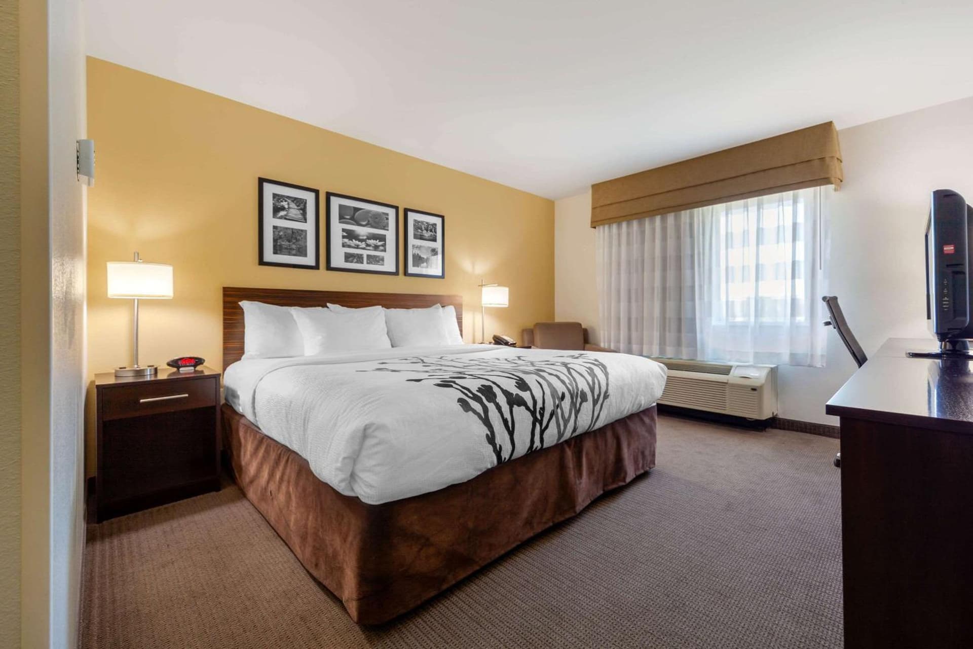 Sleep Inn & Suites Bismarck I-94 gallery photo in Bismarck, ND — image 39