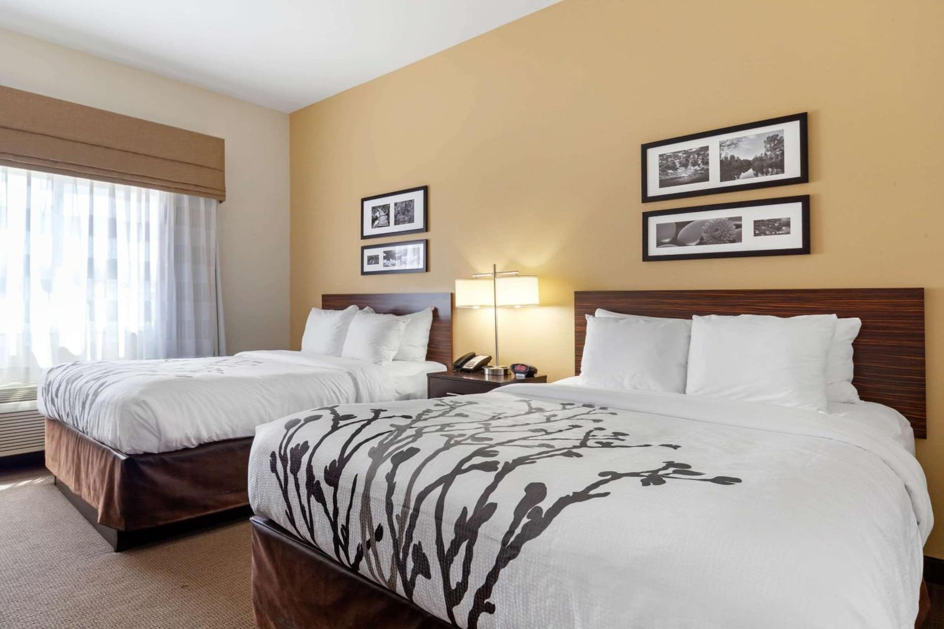 Sleep Inn & Suites Bismarck I-94 gallery photo in Bismarck, ND — image 17