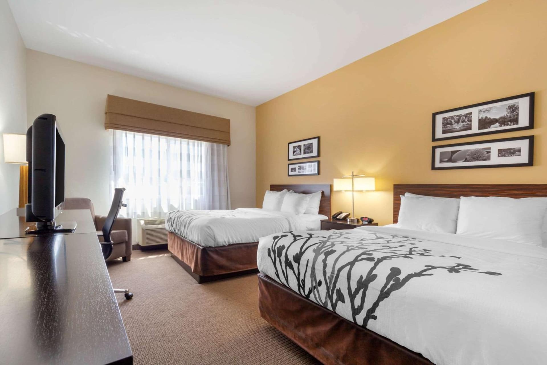 Sleep Inn & Suites Bismarck I-94 gallery photo in Bismarck, ND — image 7