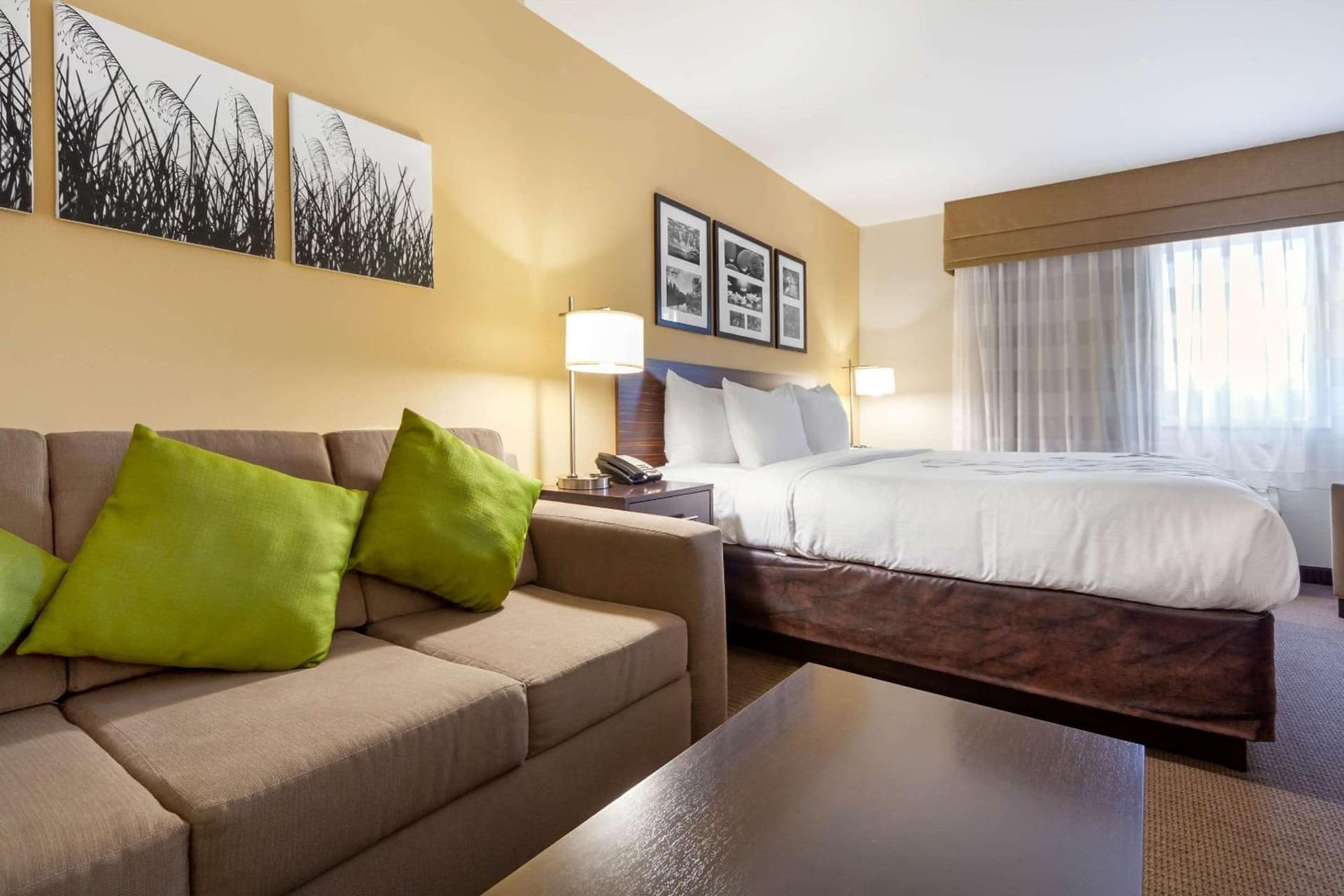 Sleep Inn & Suites Bismarck I-94 gallery photo in Bismarck, ND — image 41
