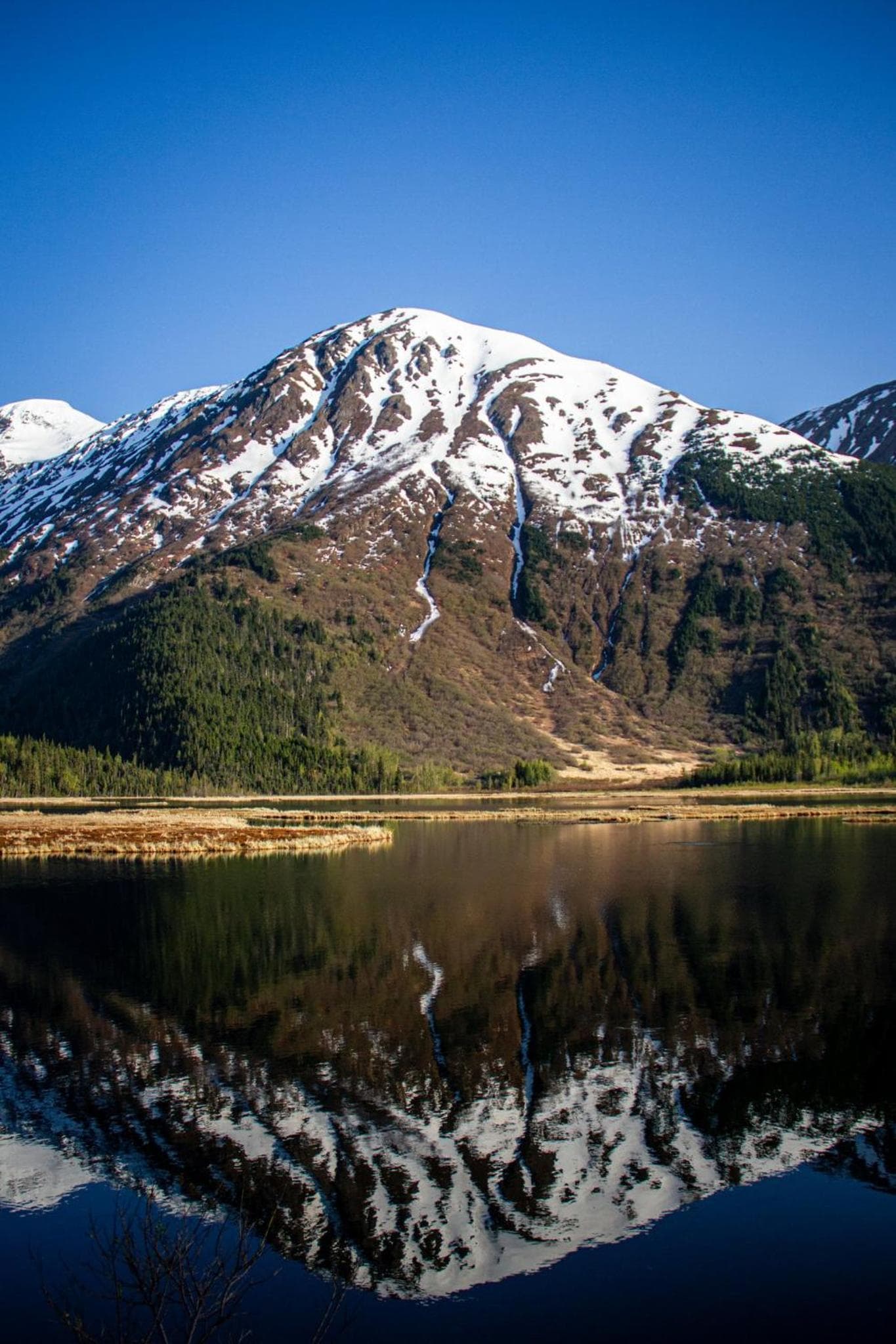 The Wildbirch Hotel - JdV by Hyatt gallery photo in Anchorage, AK — image 45