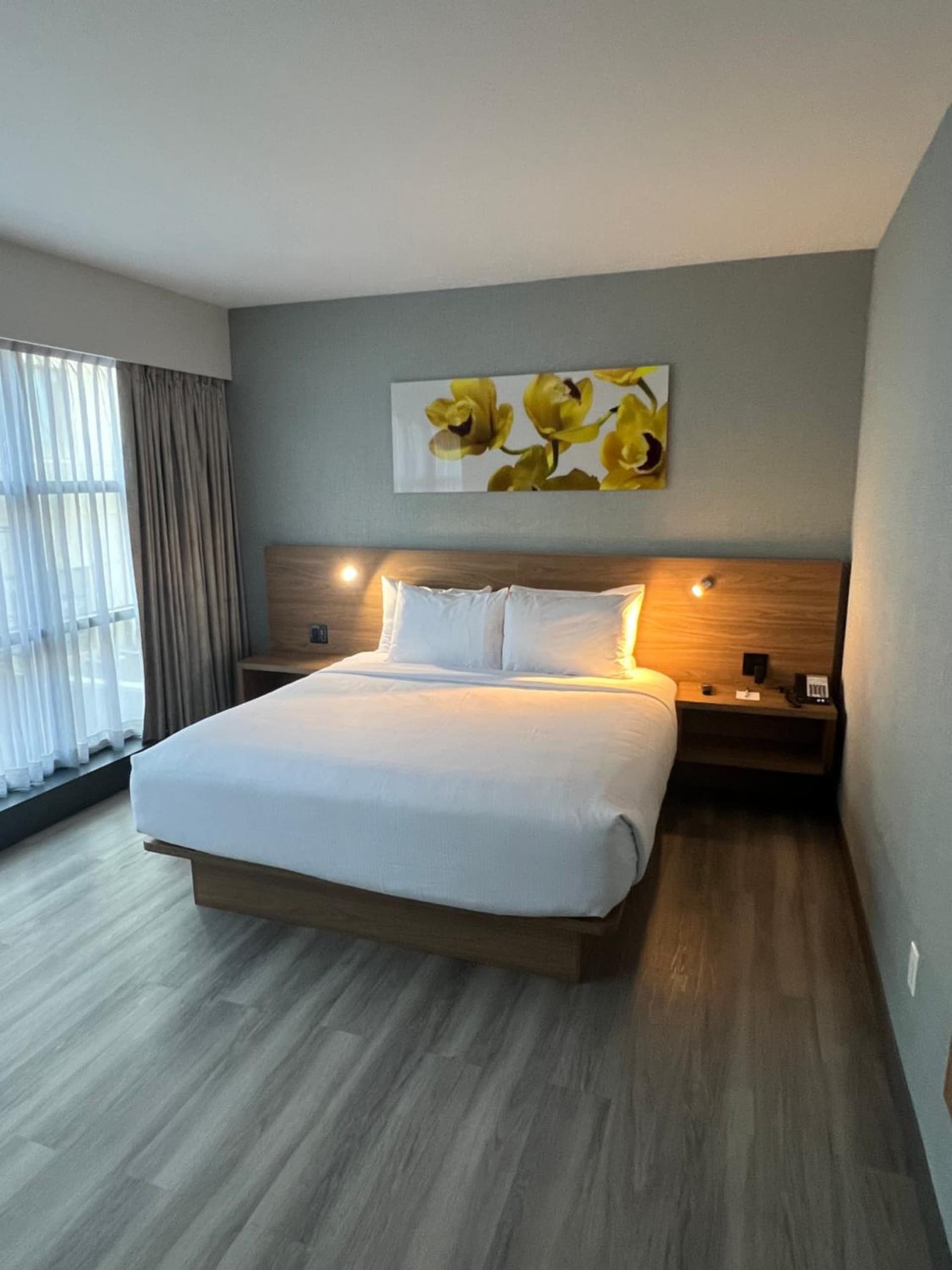 Wingate by Wyndham Long Island City gallery photo in Queens, NY — image 22