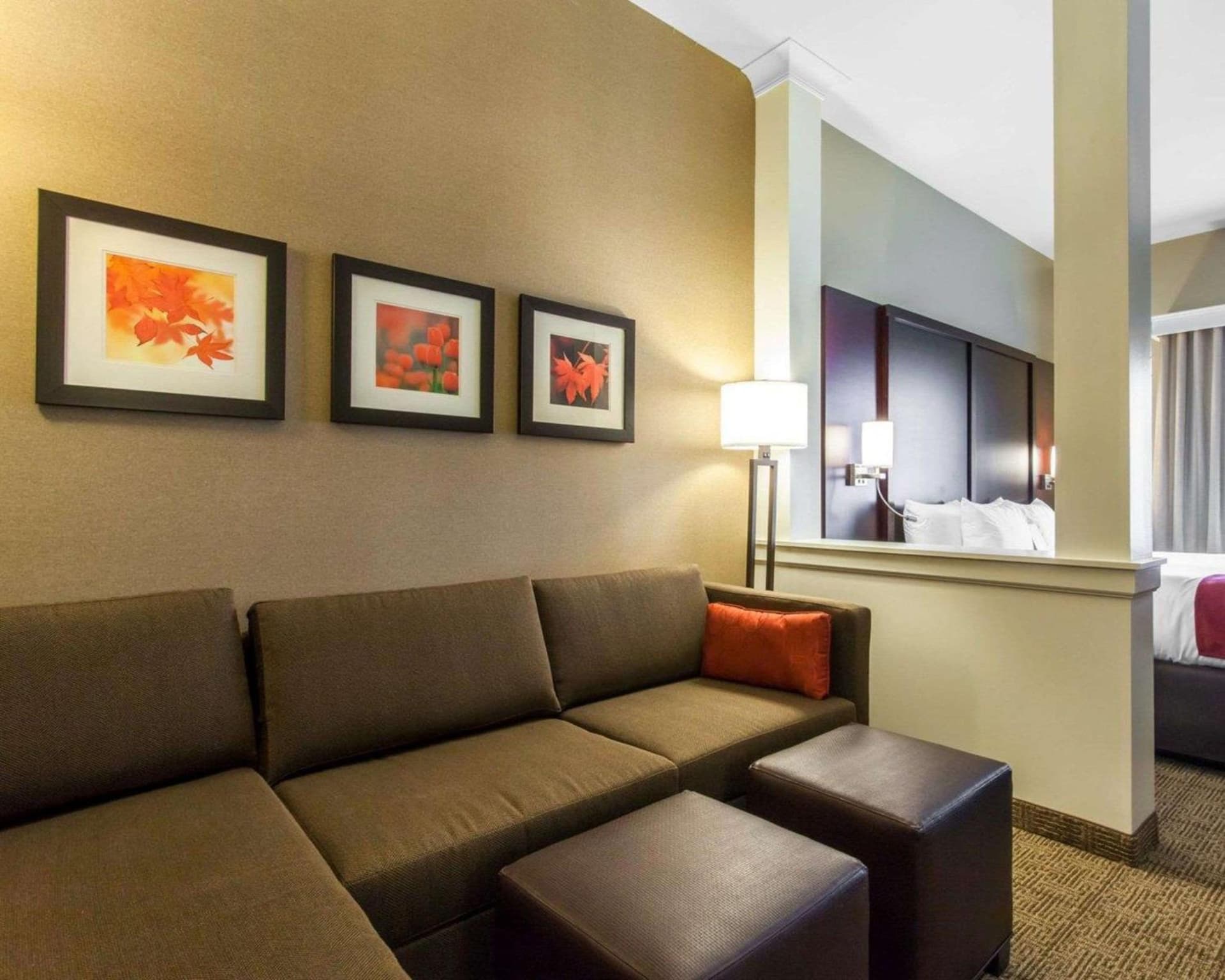 Comfort Suites-Youngstown North gallery photo in Youngstown, OH — image 4