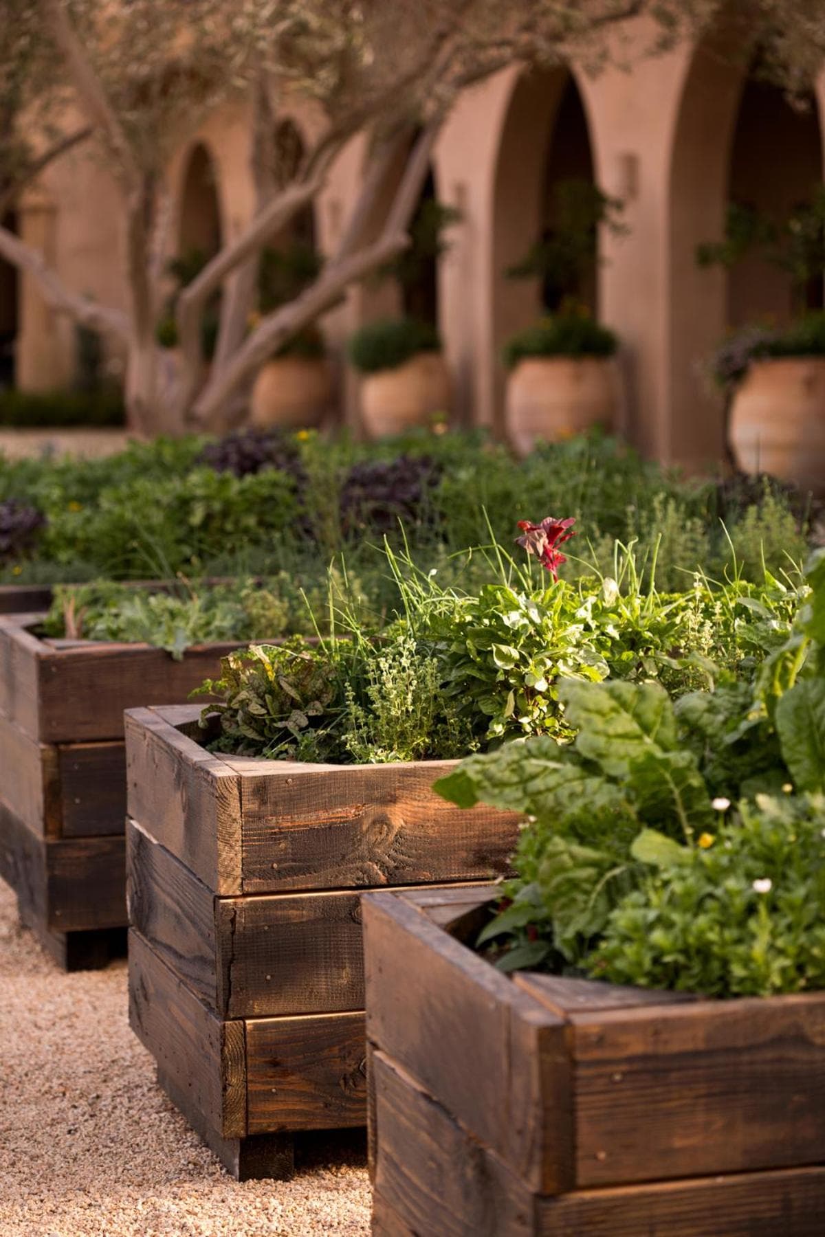 Allegretto Vineyard Resort Paso Robles gallery photo in Paso Robles, CA — image 65