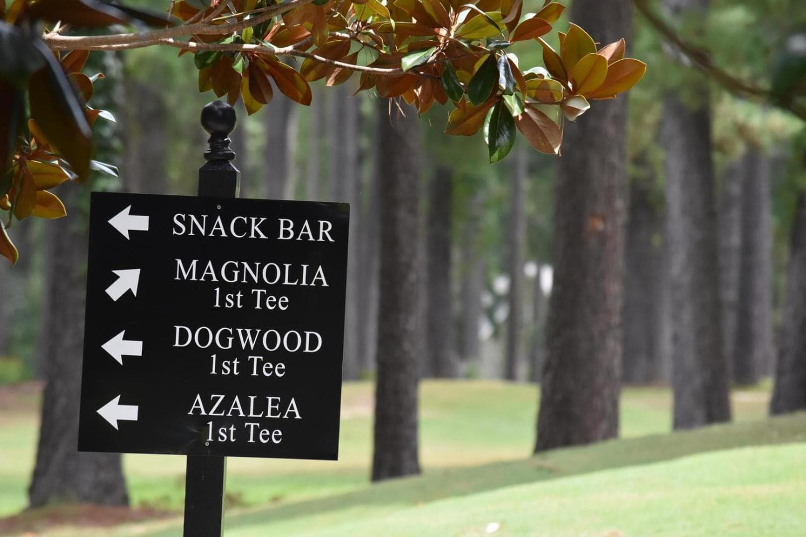 Brunswick Plantation Commons II 2505 gallery photo in Calabash, NC — image 26