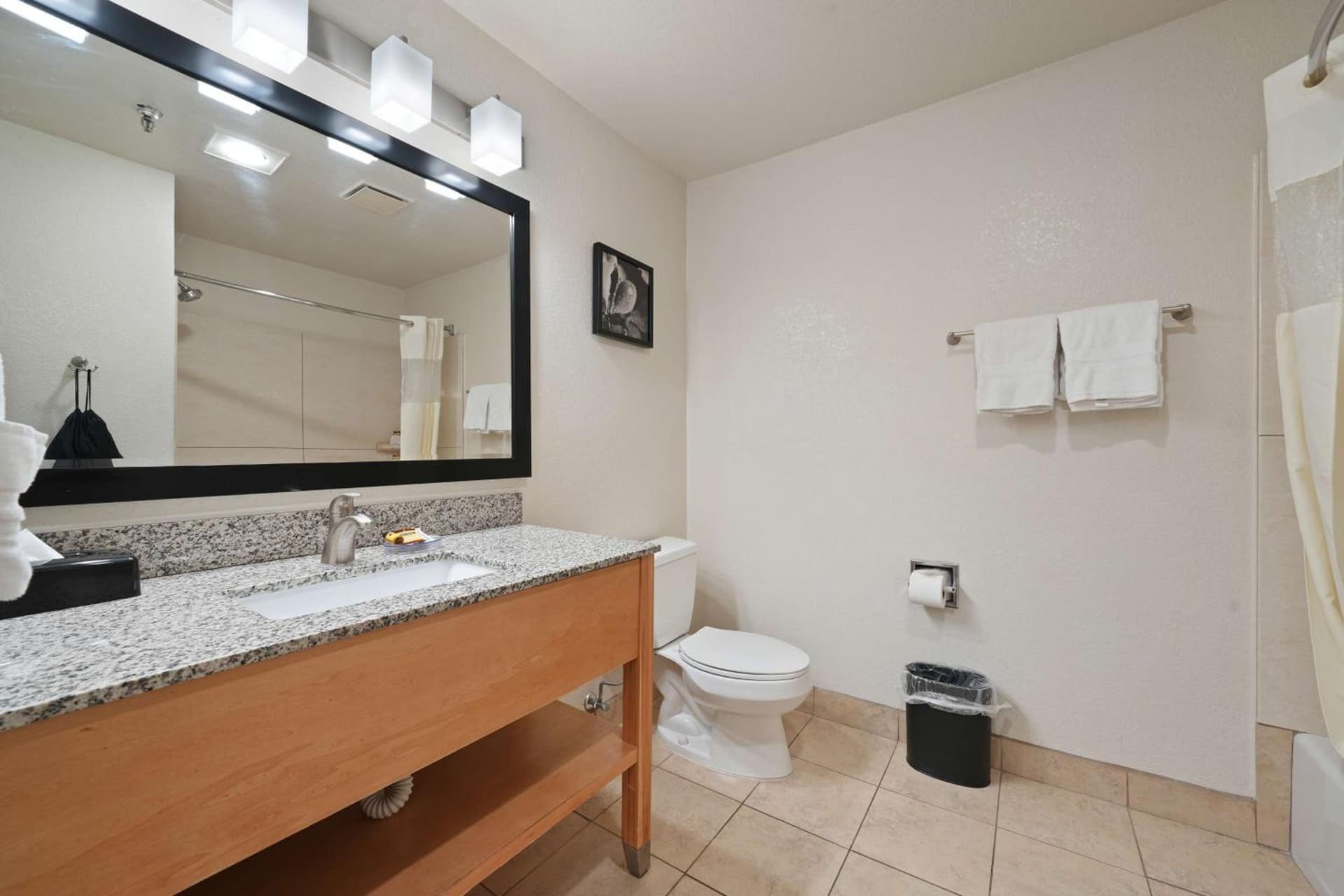 Best Western Plus Executive Inn & Suites gallery photo in Manteca, CA — image 7
