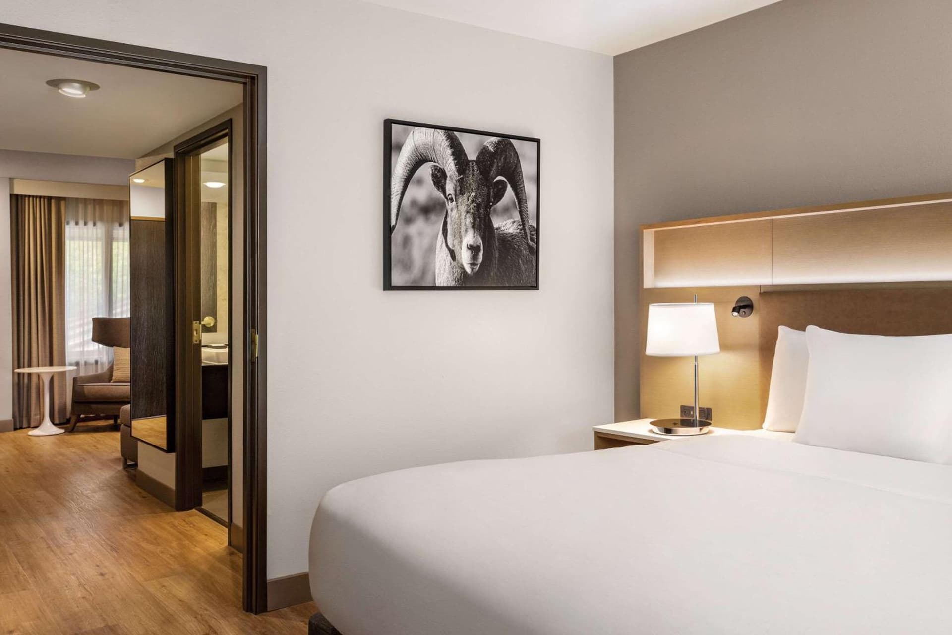 Radisson Hotel Colorado Springs Airport gallery photo in Colorado Springs, CO — image 18