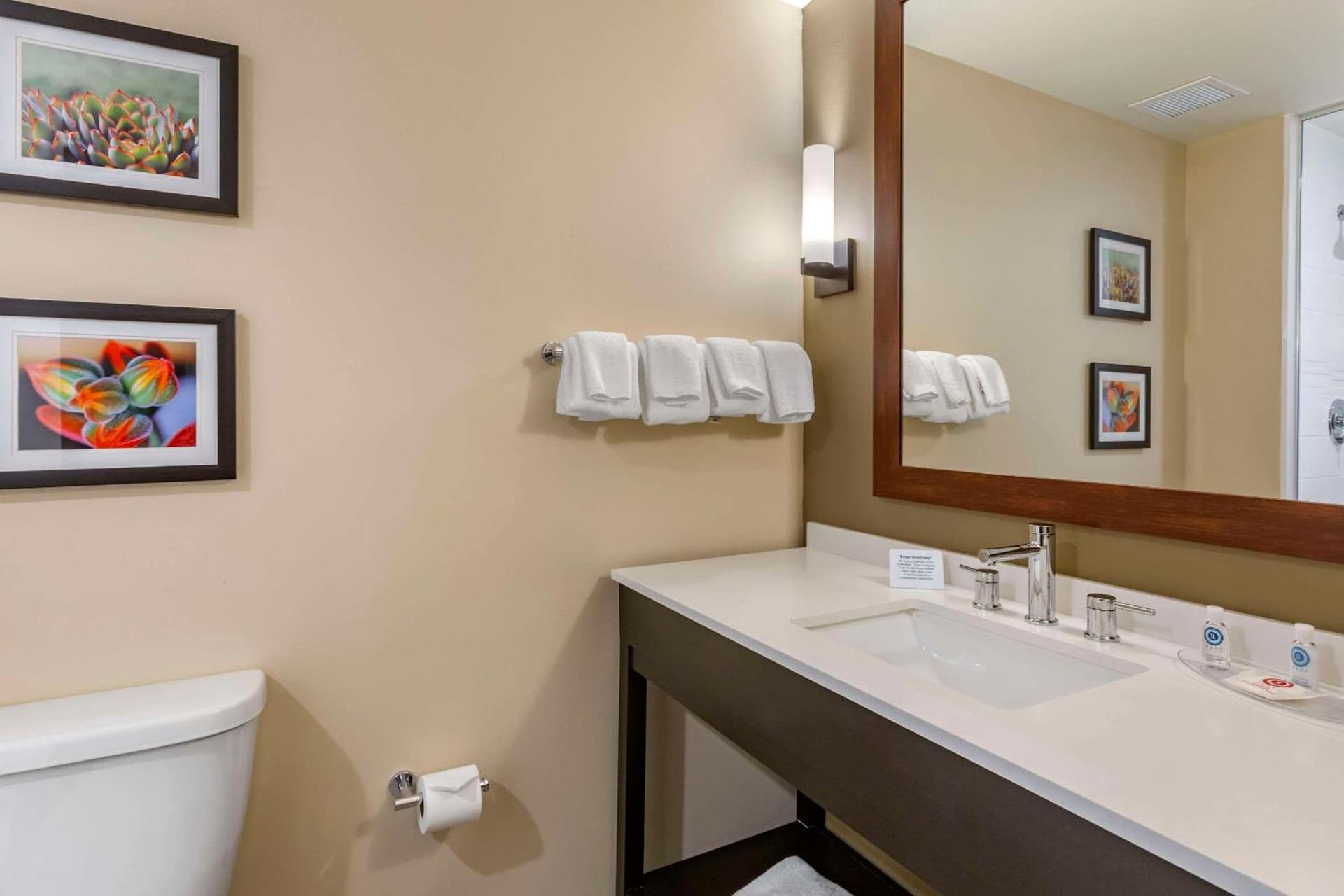 Comfort Suites Albuquerque Airport gallery photo in Albuquerque, NM — image 29