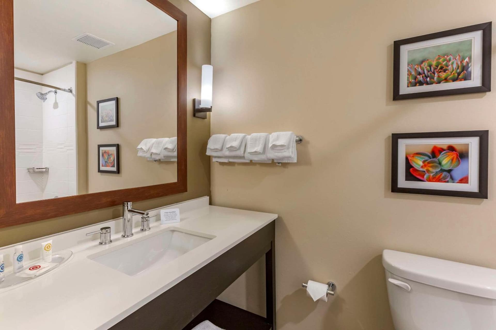 Comfort Suites Albuquerque Airport gallery photo in Albuquerque, NM — image 18