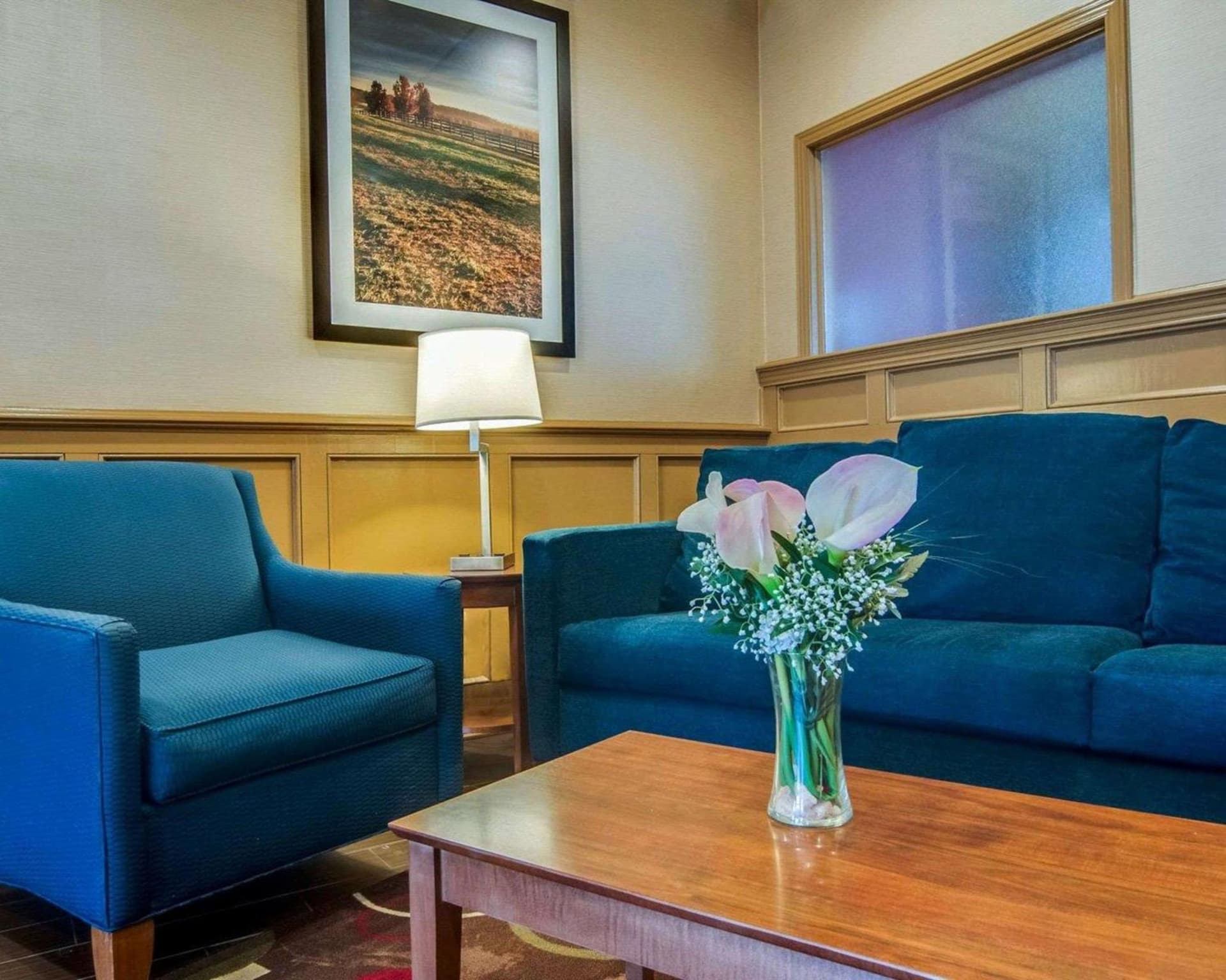 Comfort Inn & Suites Raphine - Lexington near I-81 and I-64 property views in Raphine — gallery photo 3