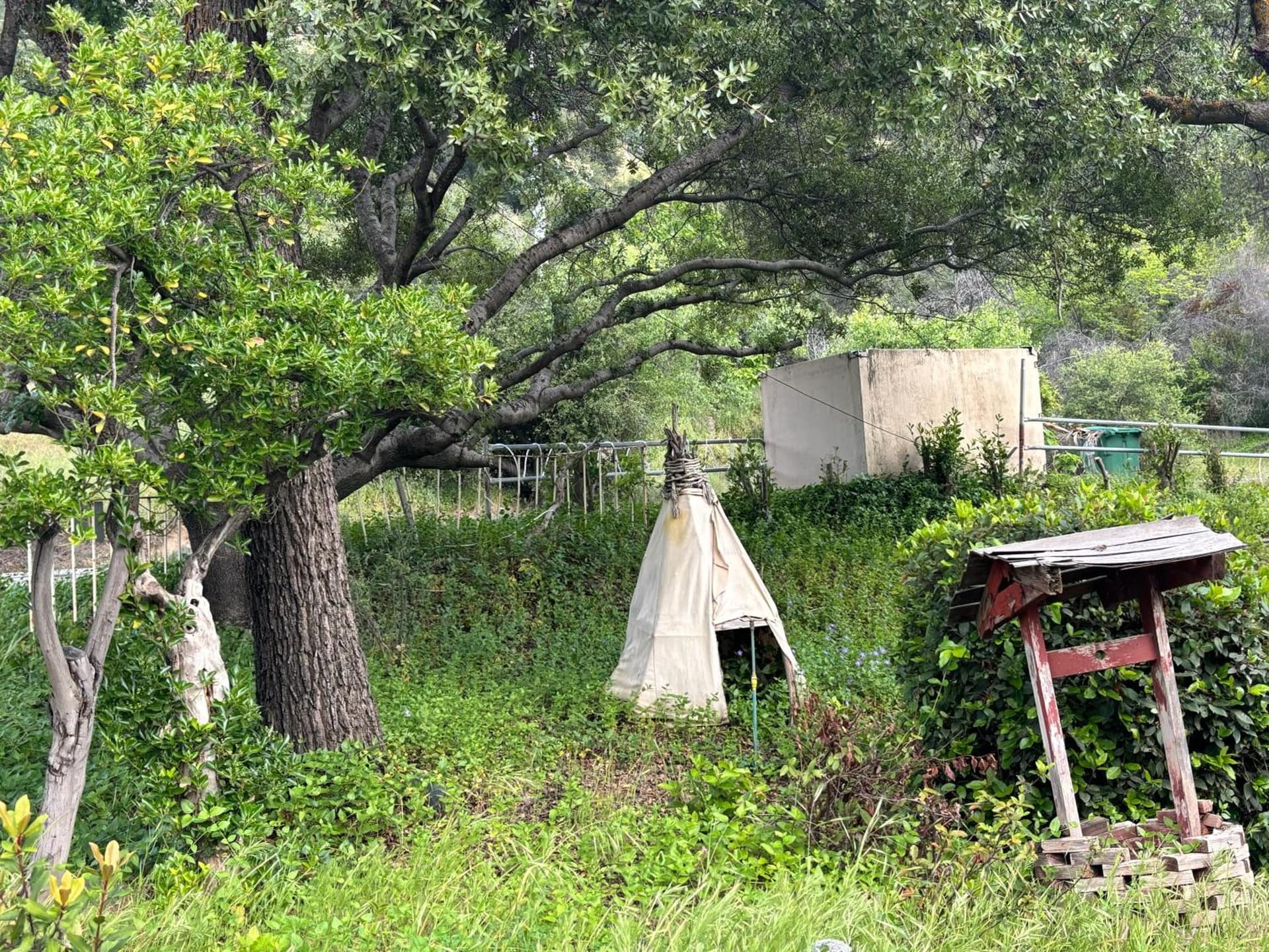 Sequoia River Front Cabins gallery photo in Three Rivers, CA — image 30