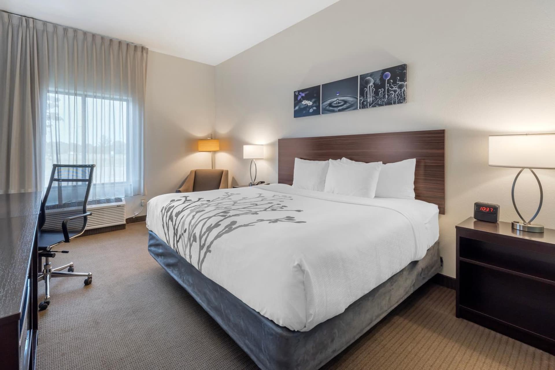 Garner Hotel Norman - University Area by IHG gallery photo in Norman, OK — image 51