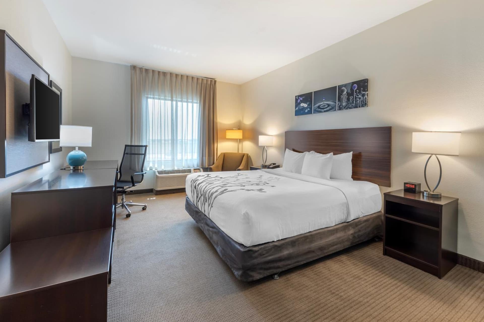Garner Hotel Norman - University Area by IHG gallery photo in Norman, OK — image 4