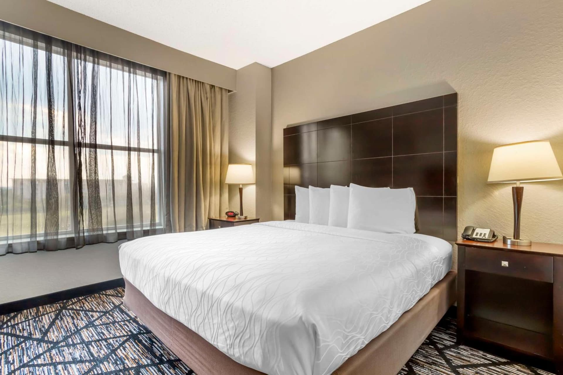 Best Western Plus Hobby Airport Inn & Suites property views in Houston, TX — gallery photo 3
