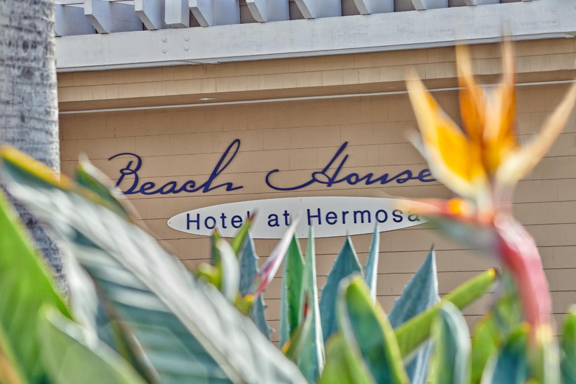 Beach House Hotel at Hermosa Beach gallery photo in Hermosa Beach, CA — image 55
