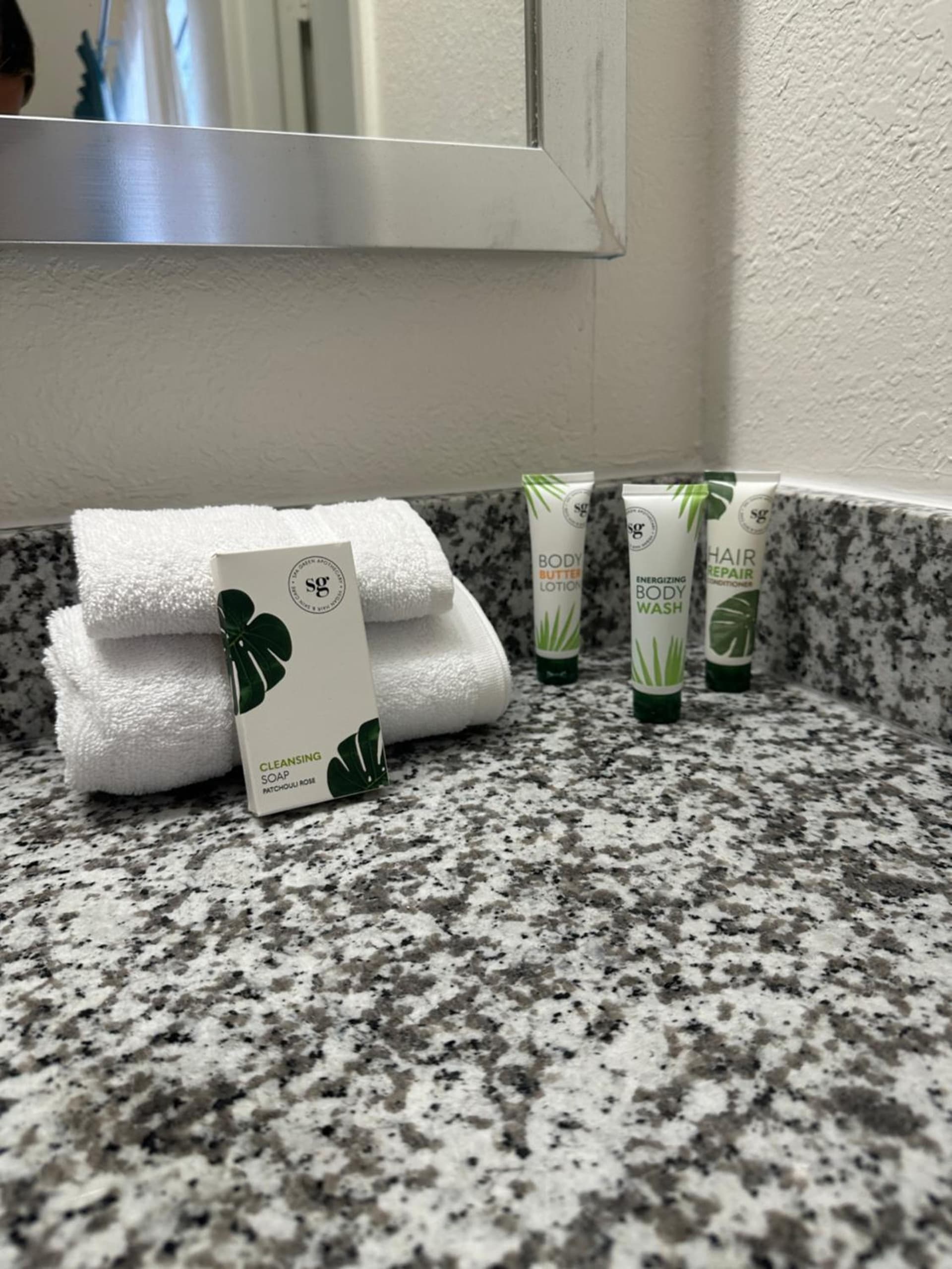 OASIS BAY SUITES, Tampa, Busch Gardens, USF gallery photo in Tampa, FL — image 8