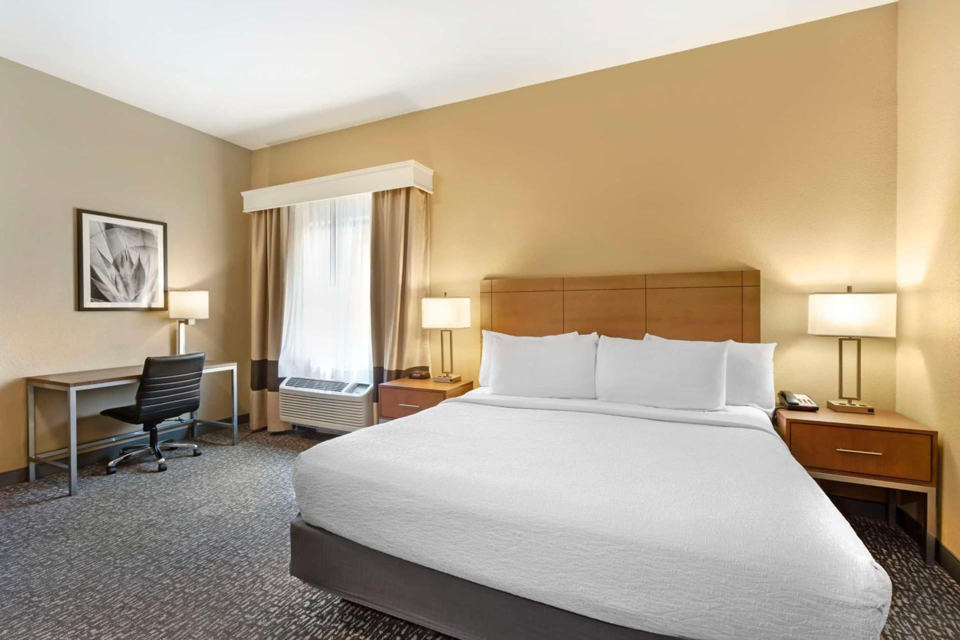 Best Western Plus Surprise-Phoenix NW gallery photo in Surprise, AZ — image 26