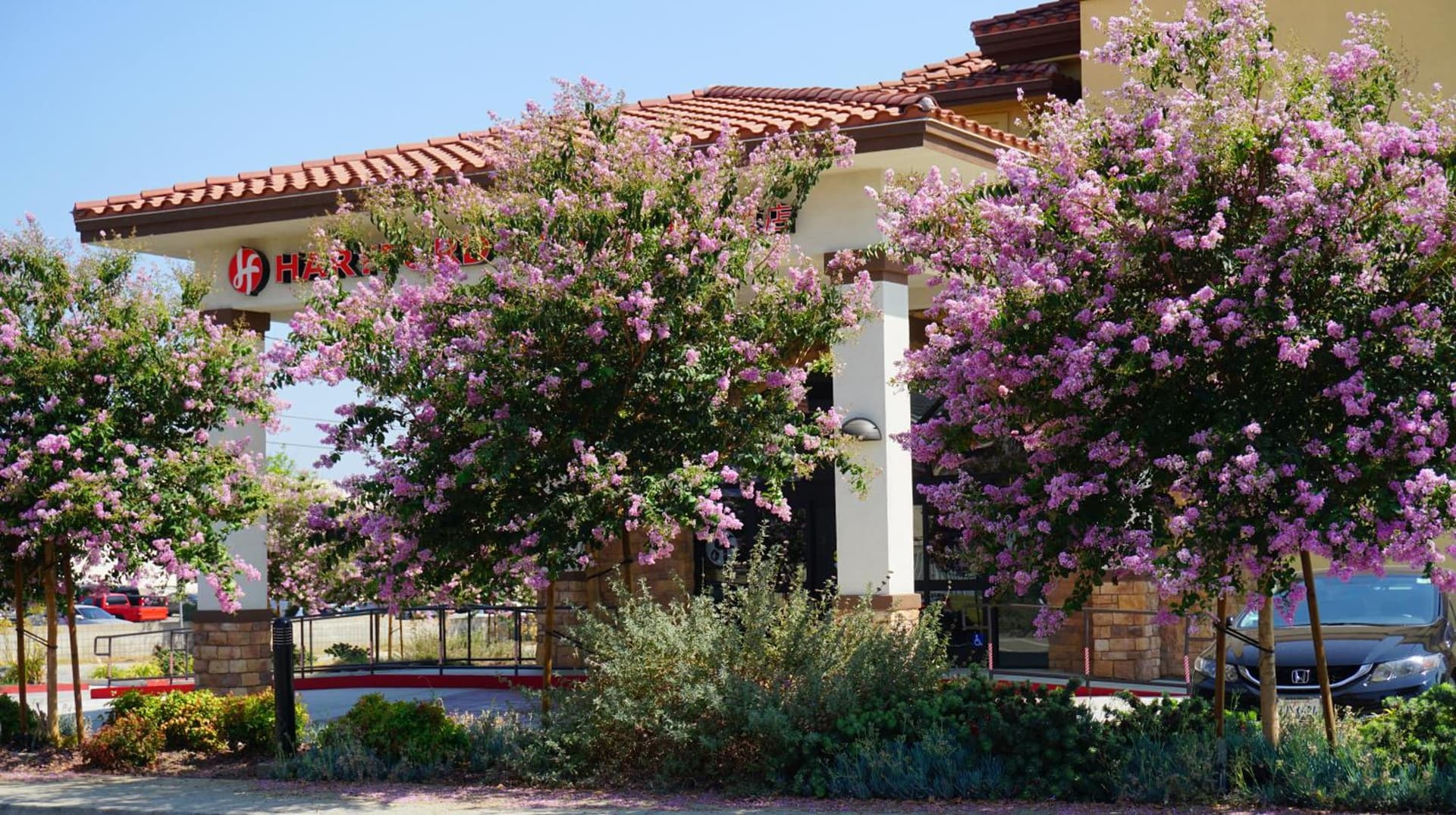 Hartford Hotel Best Western Signature Collection gallery photo in Rosemead, CA — image 11