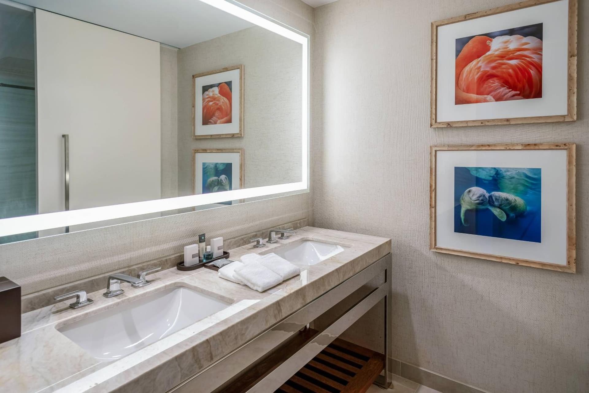Gaylord Palms Resort & Convention Center gallery photo in Orlando, FL — image 61