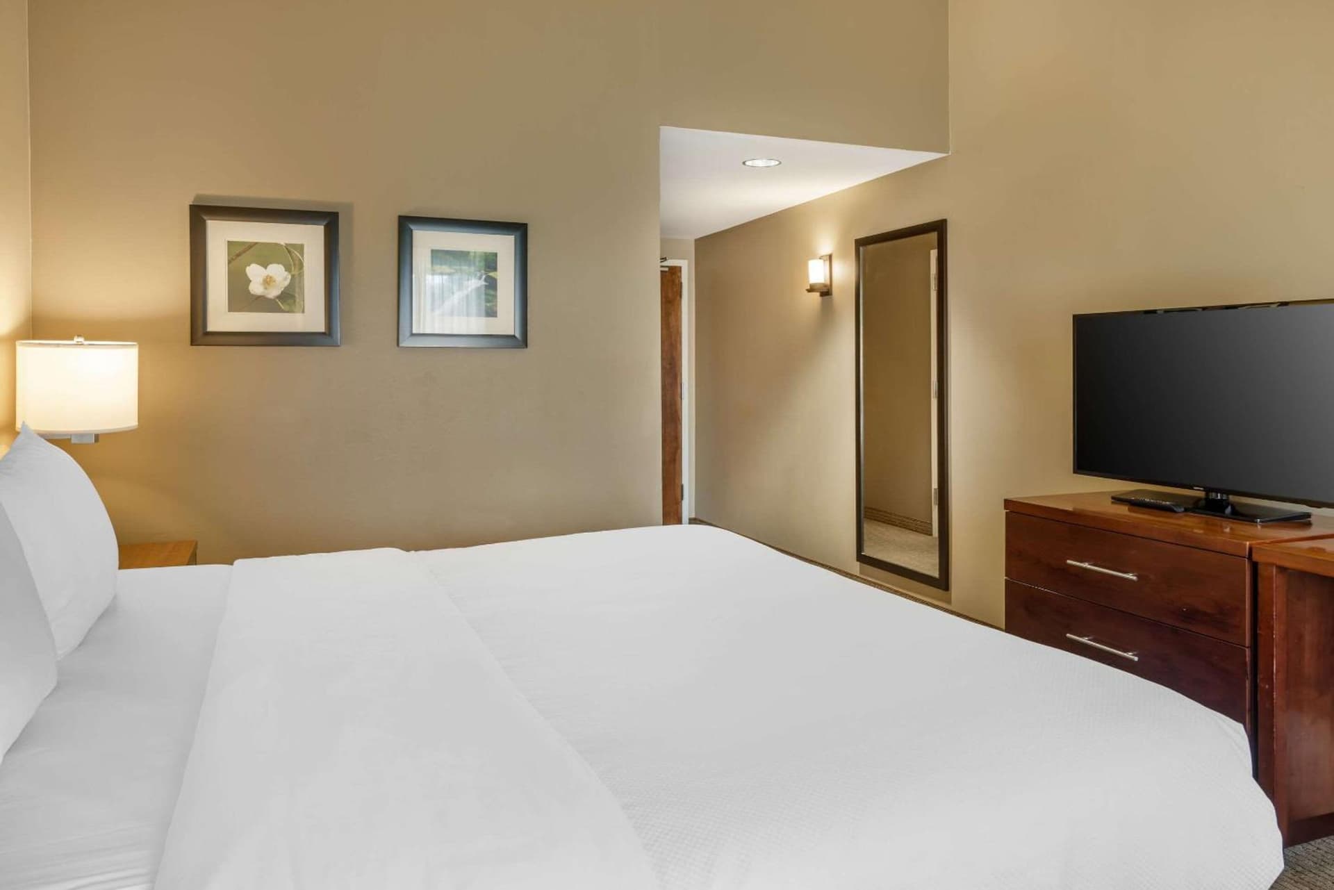 Comfort Inn & Suites At CrossPlex Village gallery photo in Birmingham, AL — image 12
