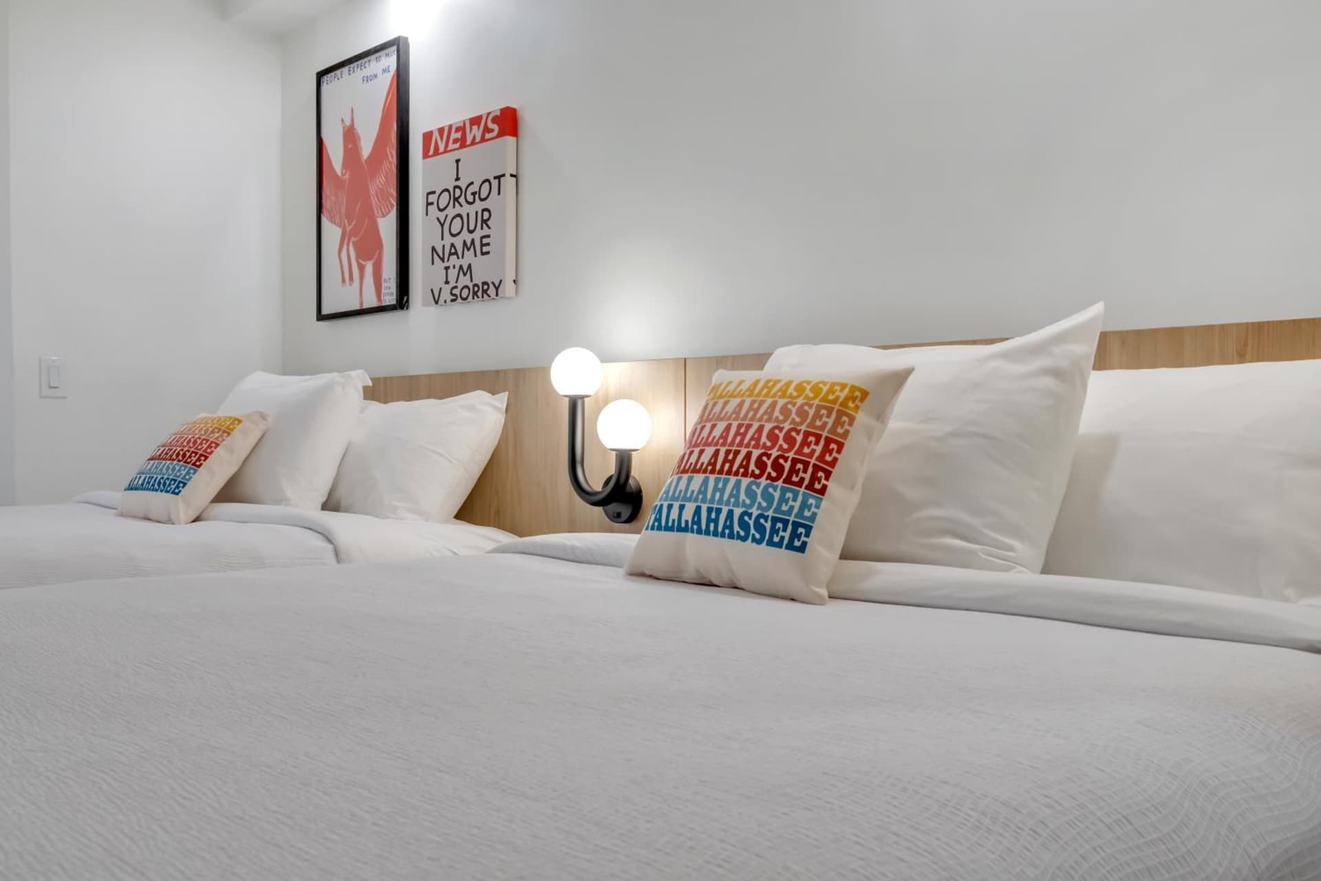 BOB Hotels Tallahassee - Boutique on Budget gallery photo in Tallahassee, FL — image 11