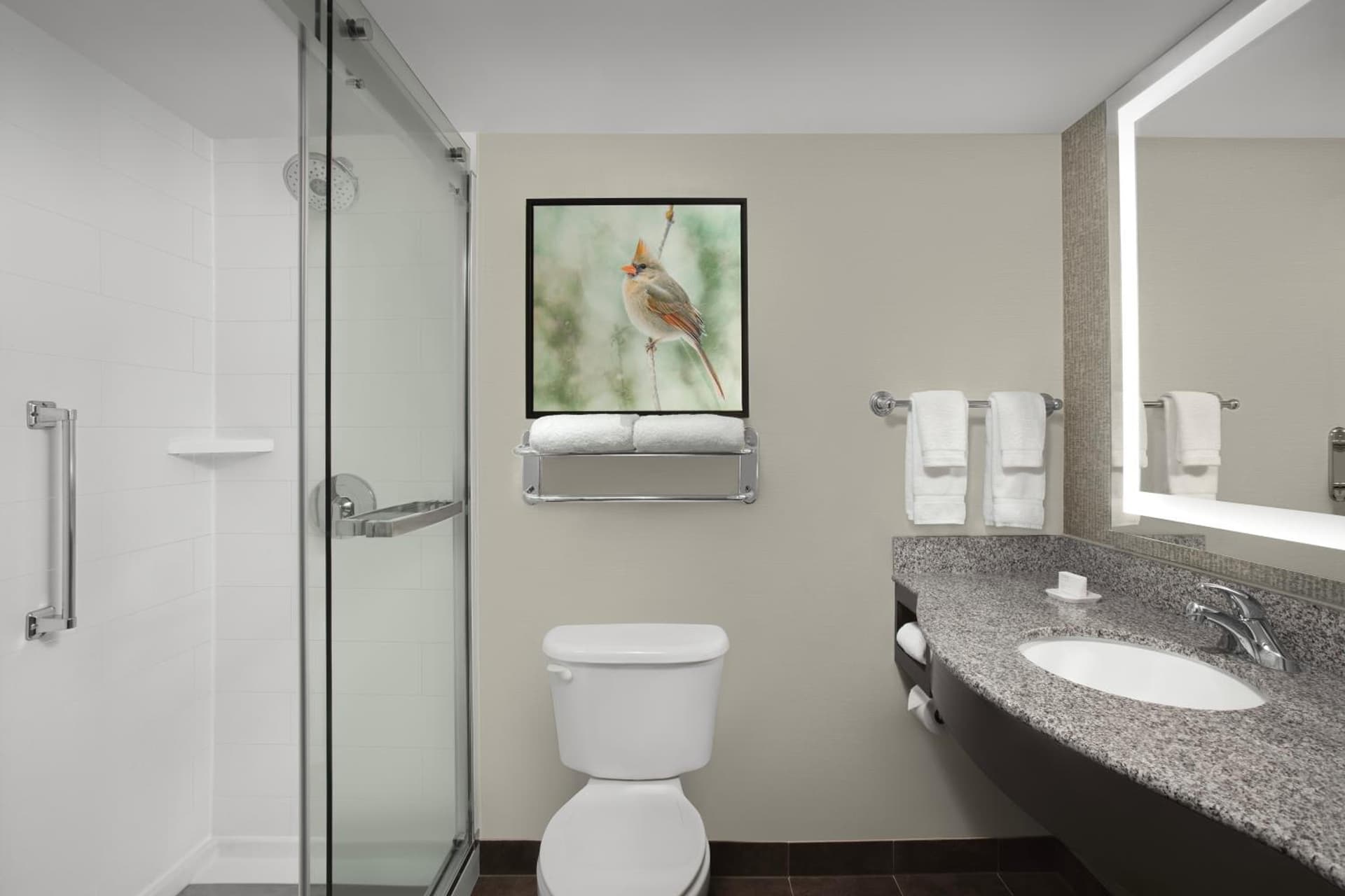 Hilton Garden Inn Hoffman Estates gallery photo in Hoffman Estates, IL — image 7