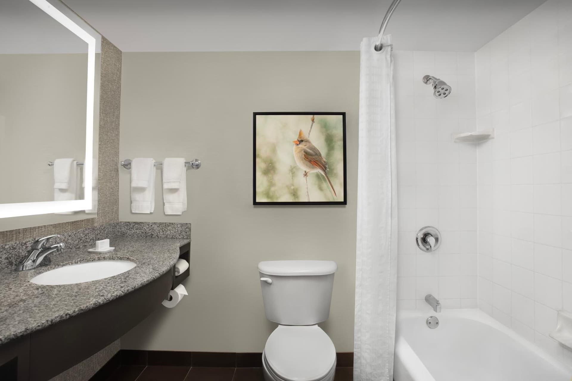 Hilton Garden Inn Hoffman Estates gallery photo in Hoffman Estates, IL — image 13