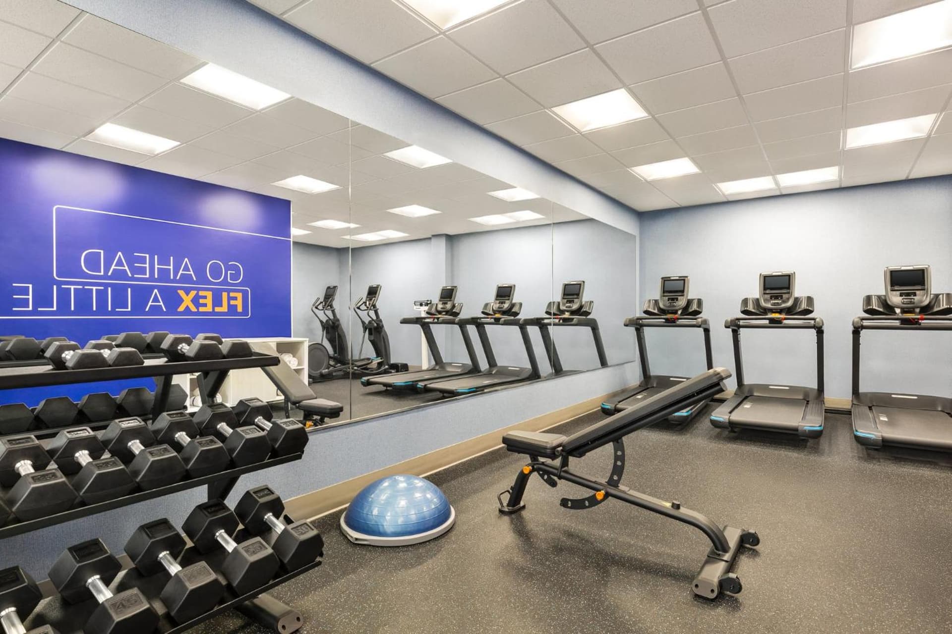 Holiday Inn Express & Suites - Tuscaloosa-University by IHG gallery photo in Tuscaloosa, AL — image 72