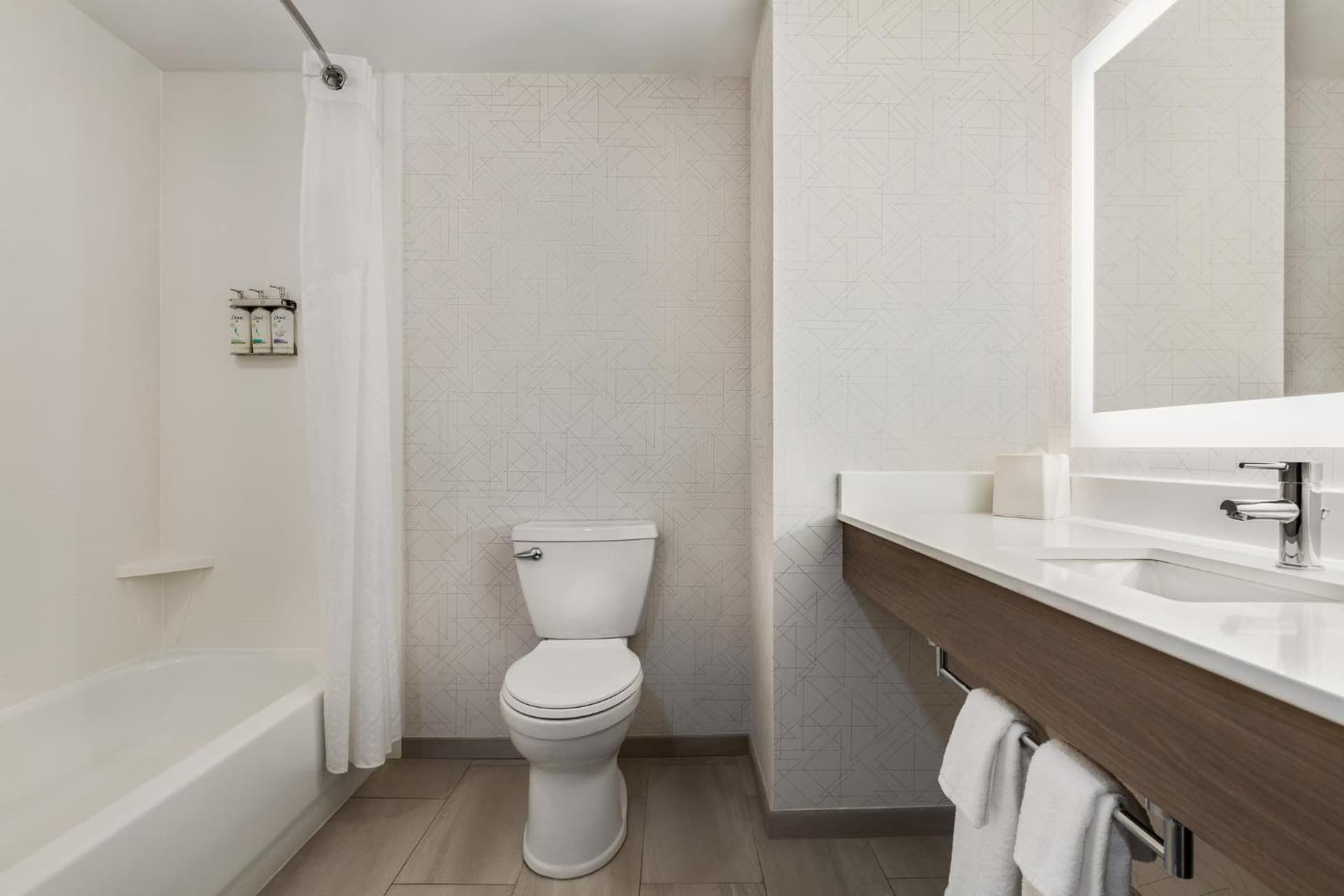 Holiday Inn Express & Suites - Tuscaloosa-University by IHG gallery photo in Tuscaloosa, AL — image 74
