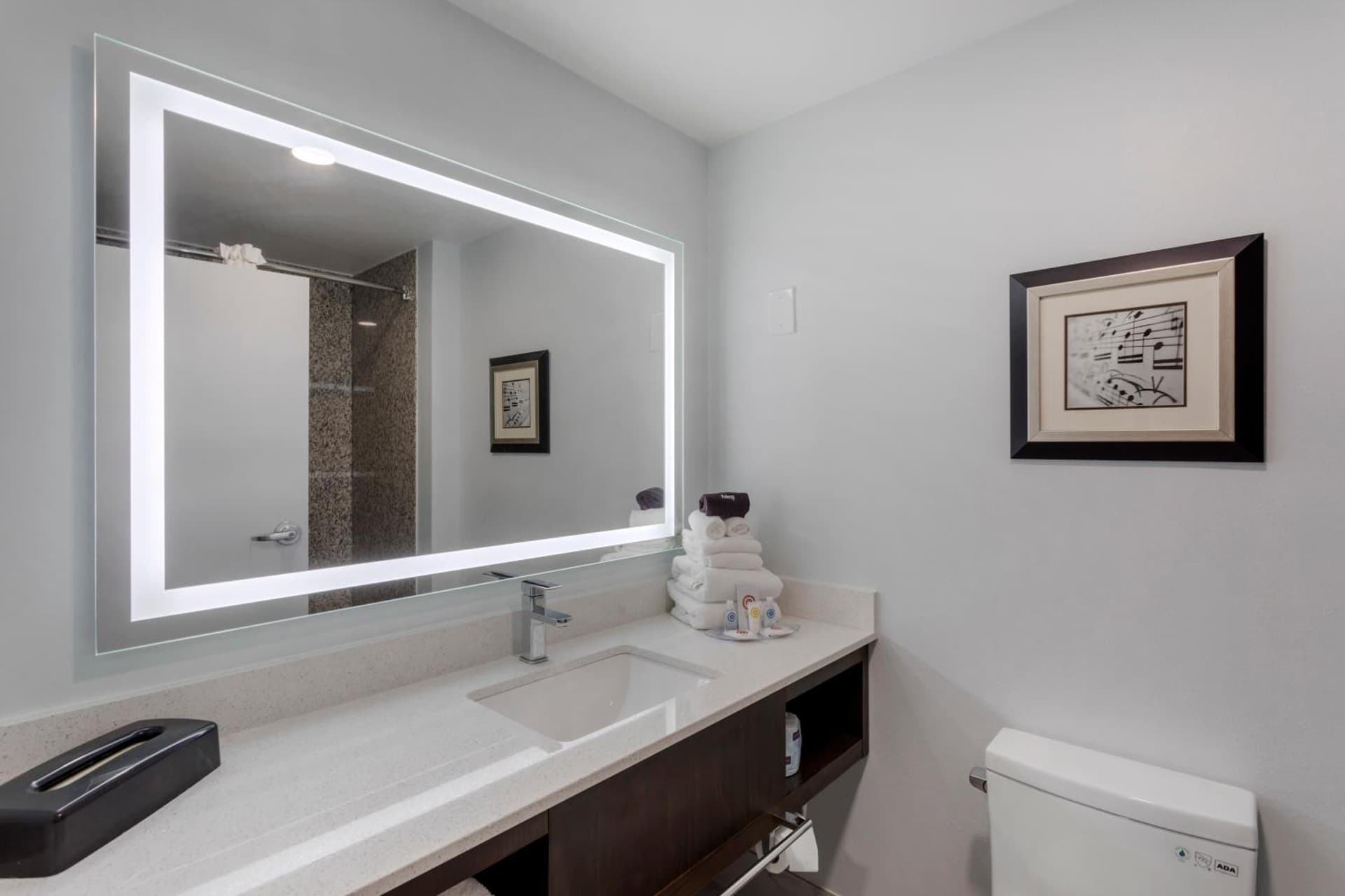 Comfort Suites Mt Juliet-Nashville Area gallery photo in Mount Juliet, TN — image 26