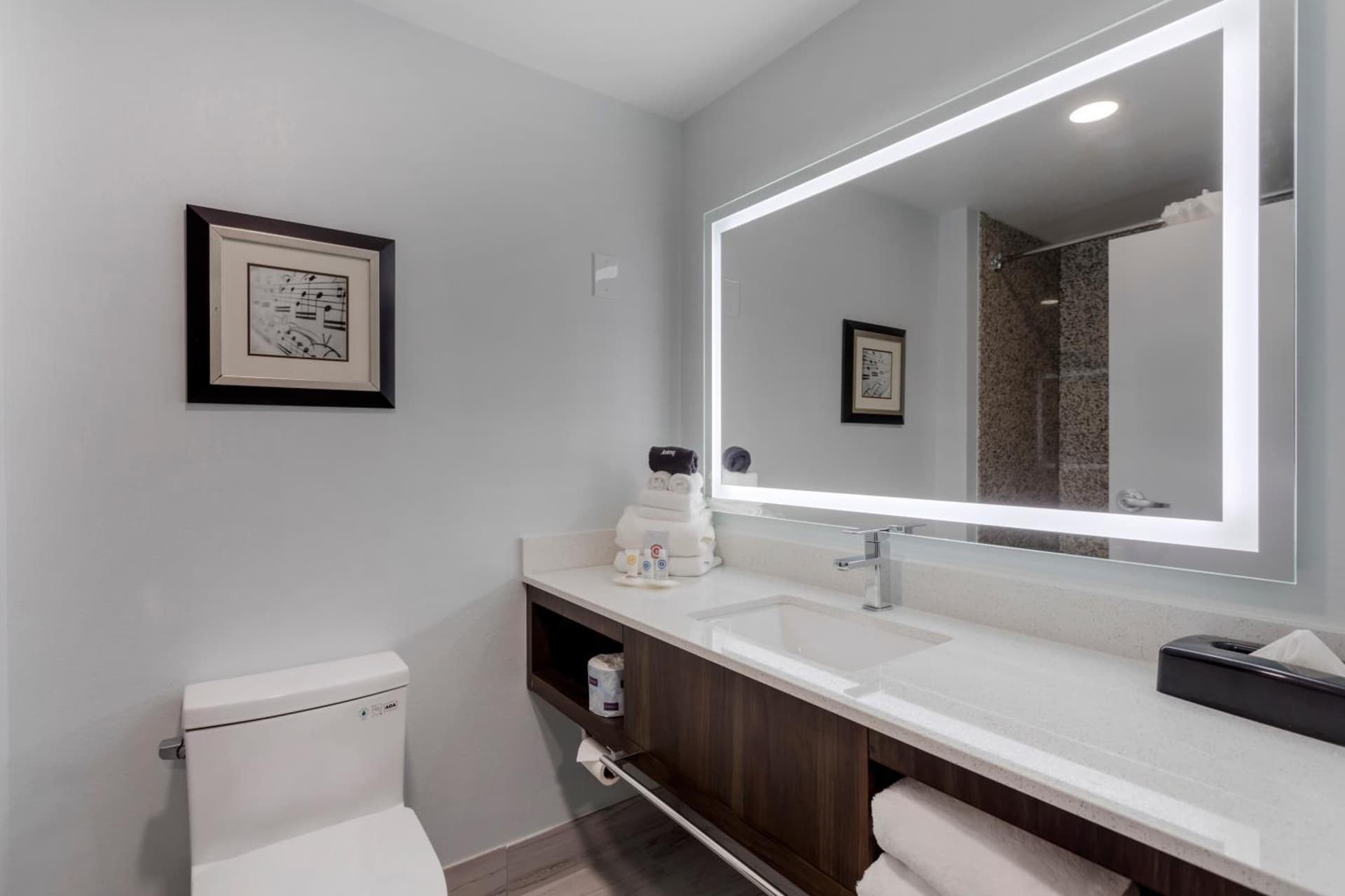 Comfort Suites Mt Juliet-Nashville Area gallery photo in Mount Juliet, TN — image 23
