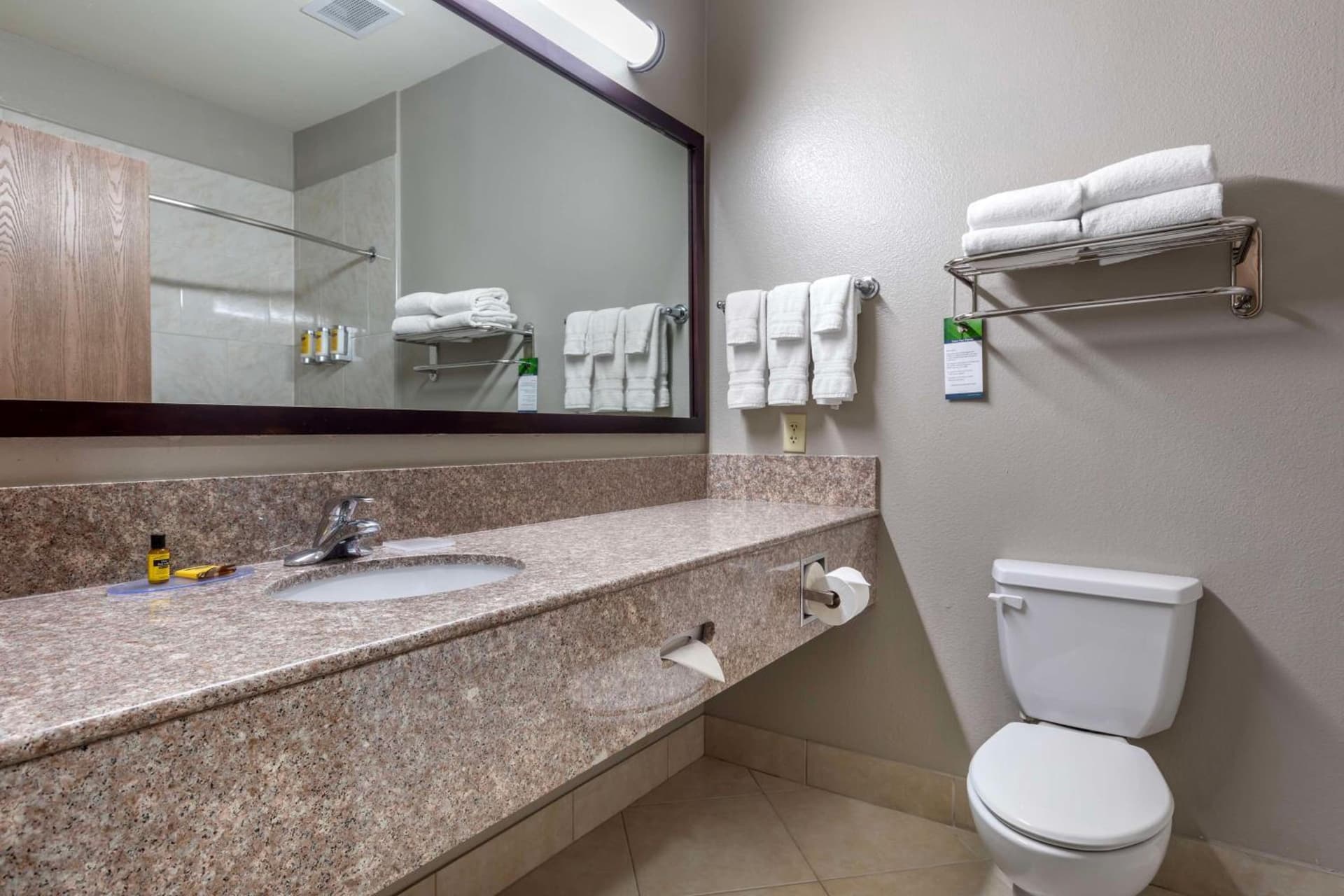 Best Western Plus Mansfield Inn & Suites gallery photo in Mansfield, TX — image 8