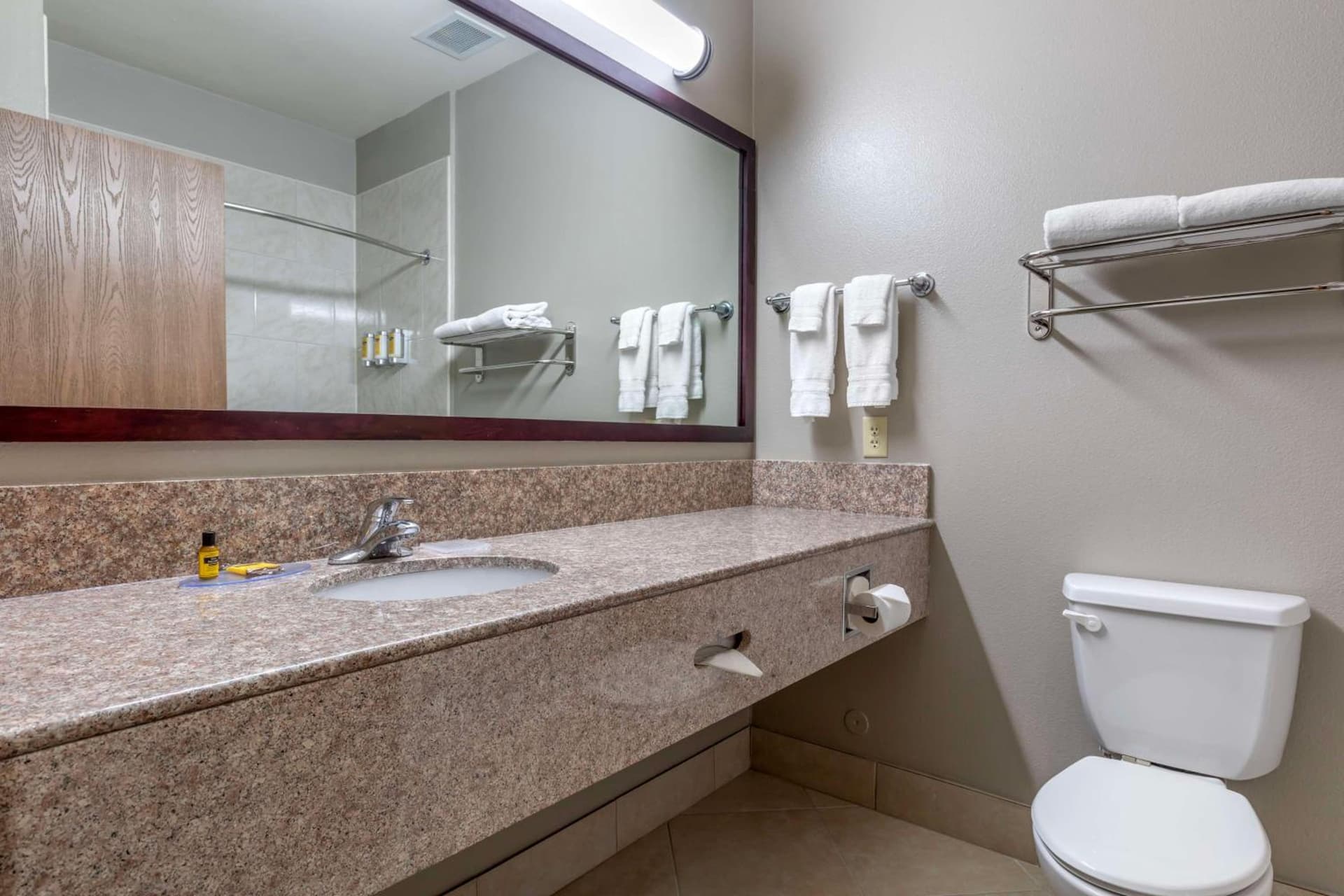 Best Western Plus Mansfield Inn & Suites gallery photo in Mansfield, TX — image 20