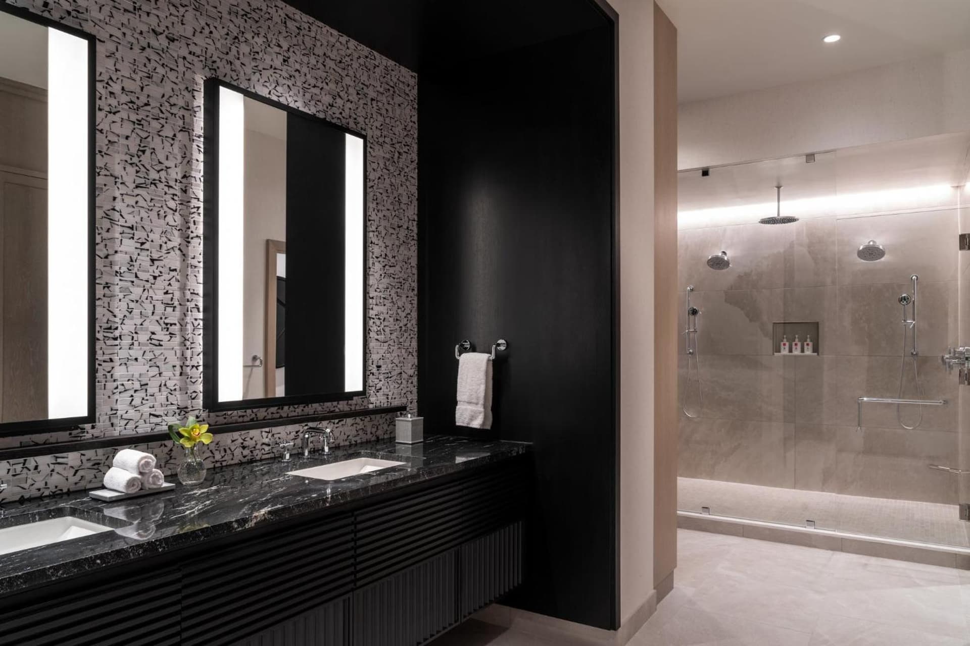 Loews Arlington Hotel gallery photo in Arlington, TX — image 67