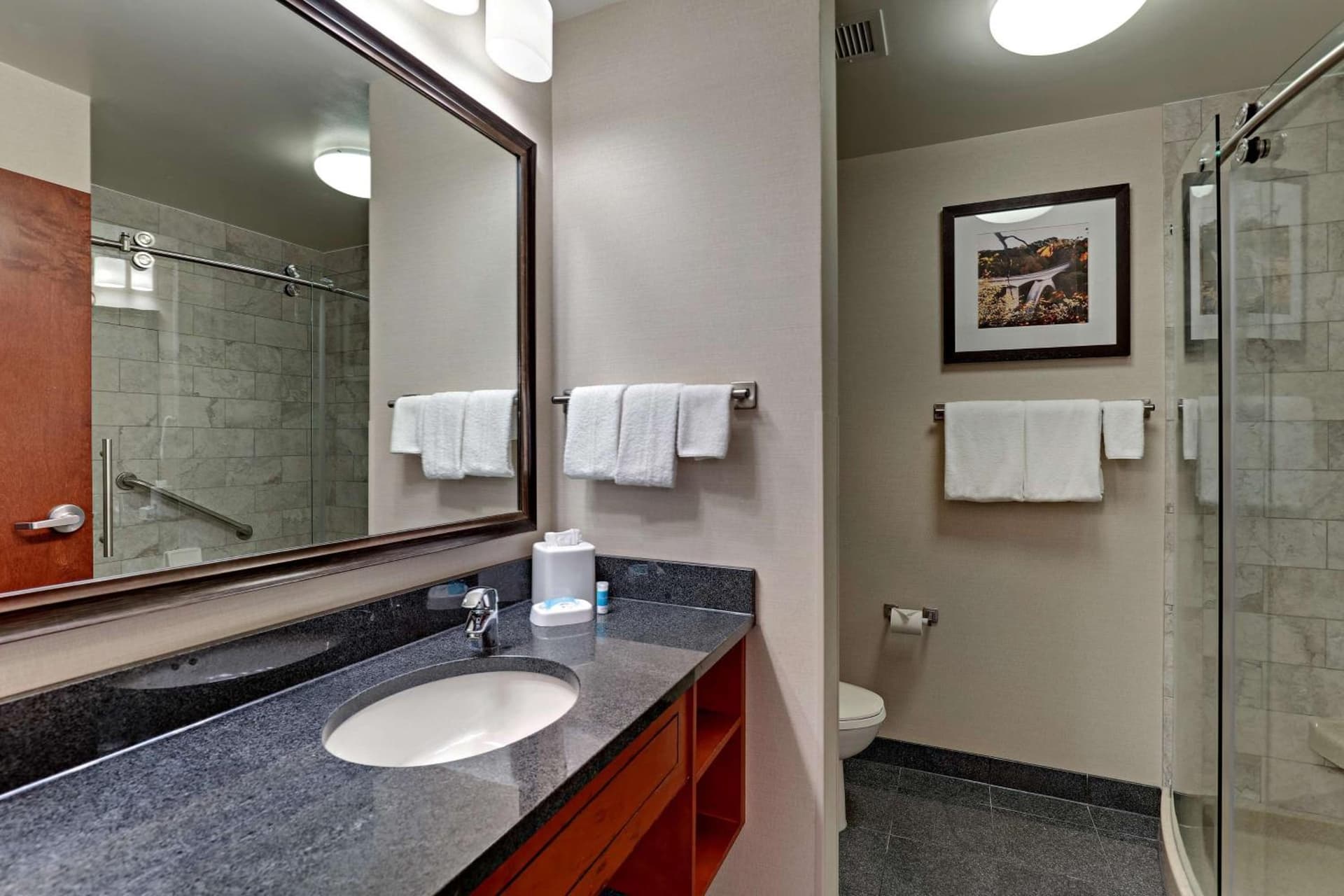 Drury Plaza Hotel Nashville Franklin gallery photo in Franklin, TN — image 23