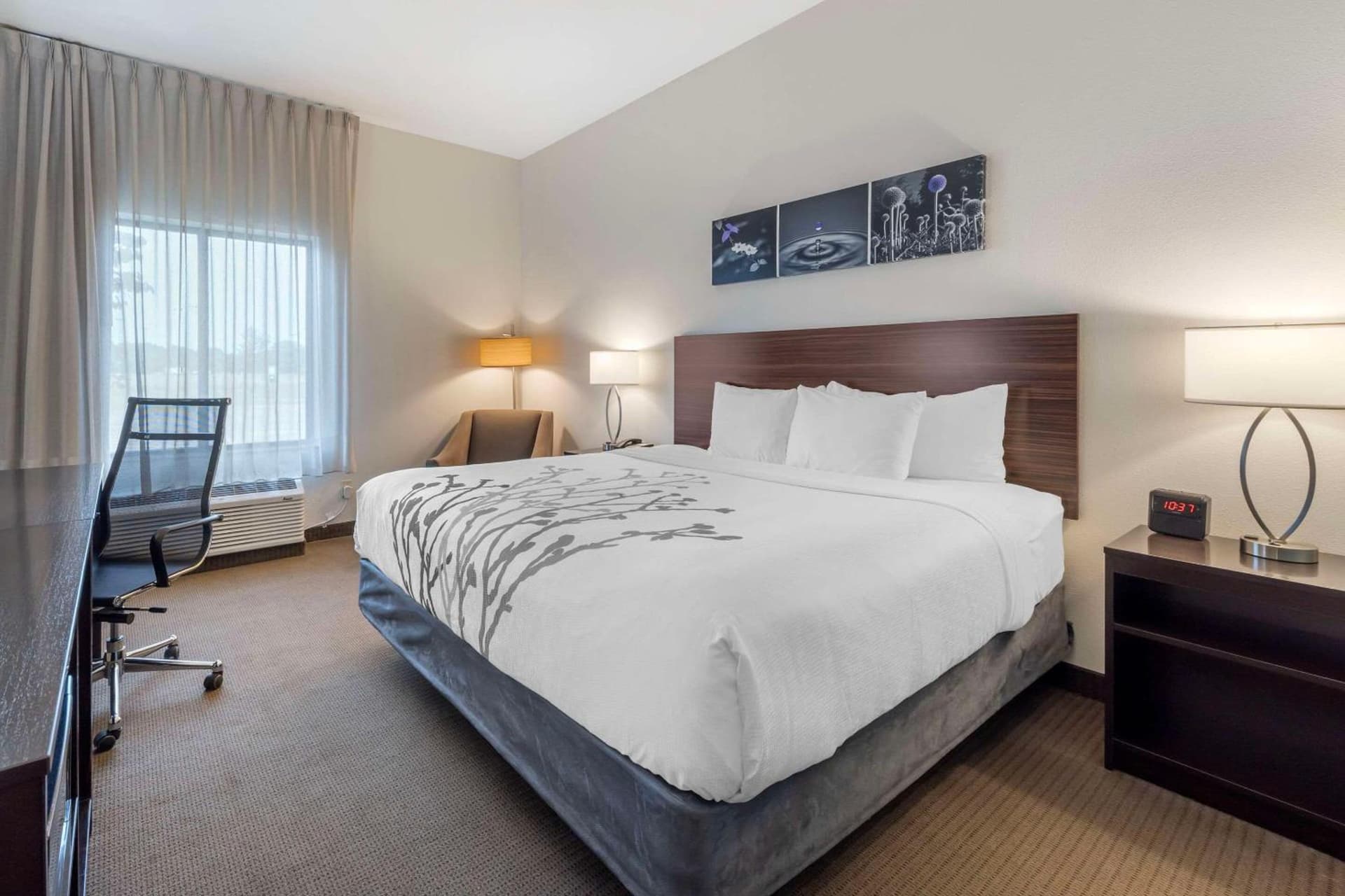 Garner Hotel Norman - University Area by IHG gallery photo in Norman, OK — image 7