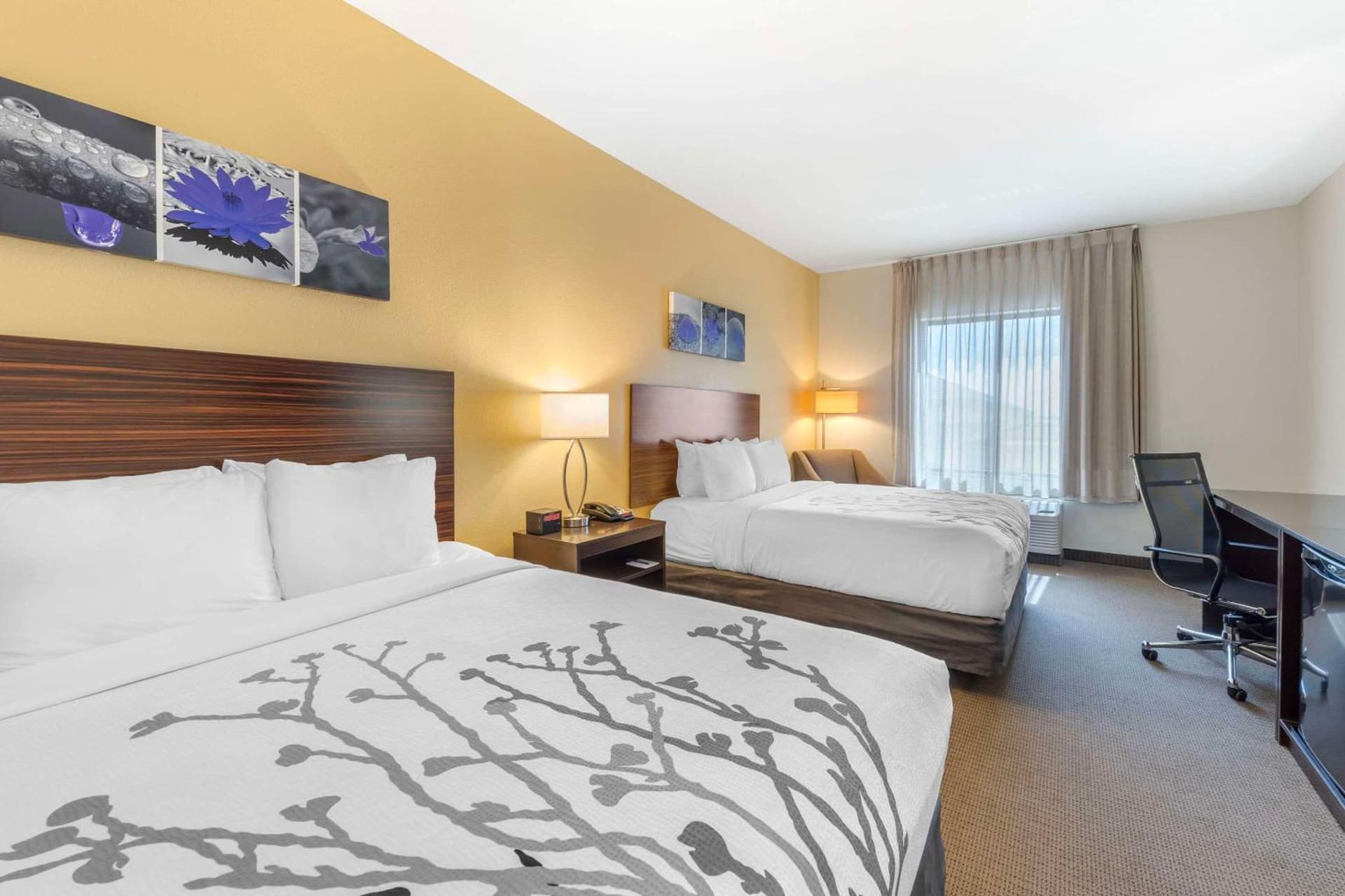 Garner Hotel Norman - University Area by IHG gallery photo in Norman, OK — image 60
