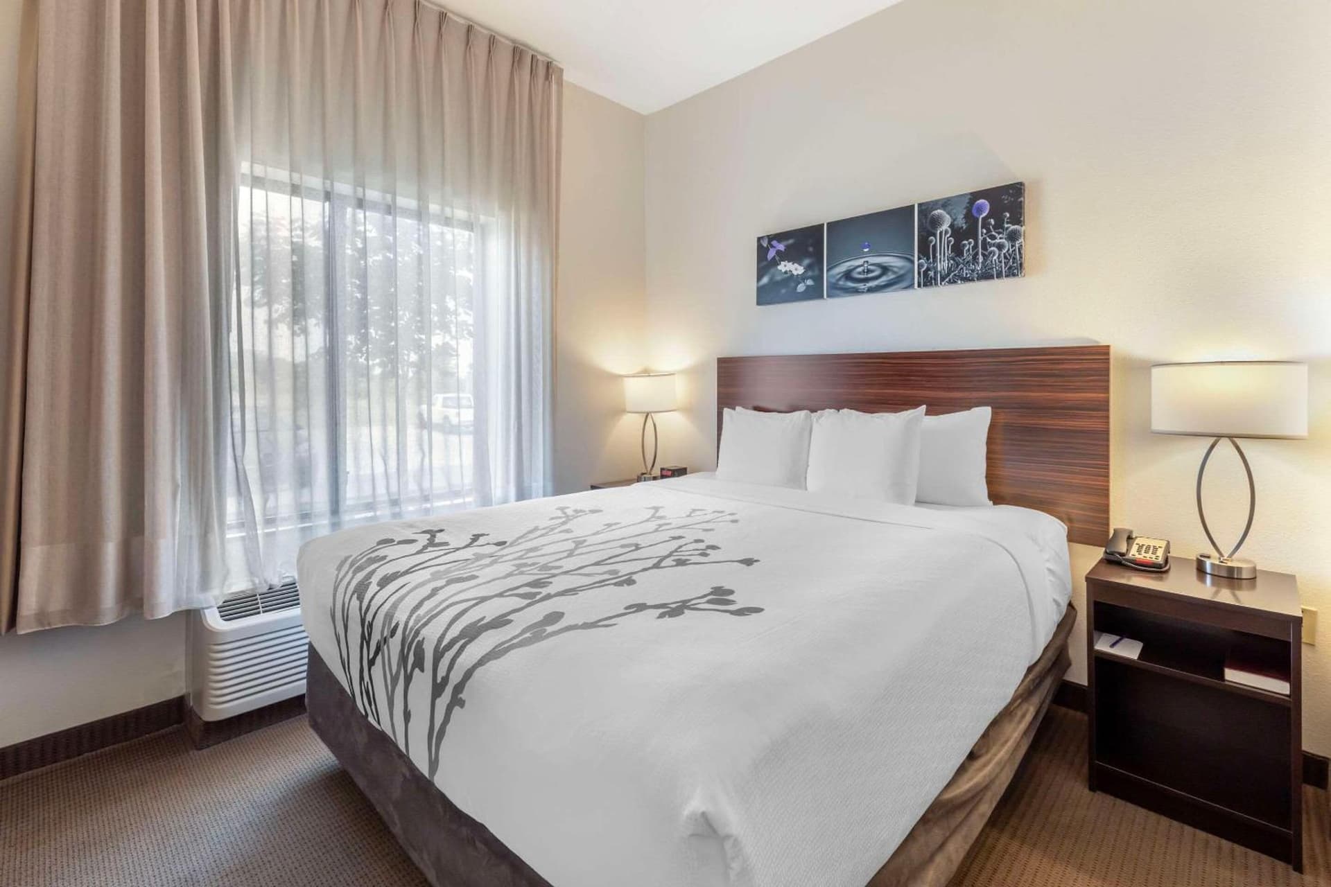 Garner Hotel Norman - University Area by IHG gallery photo in Norman, OK — image 26