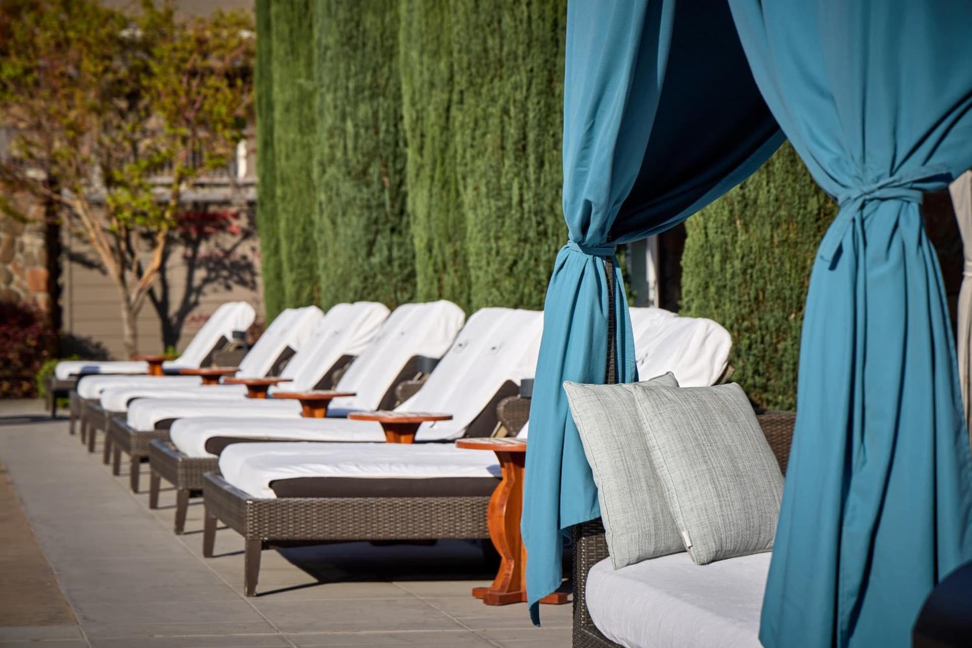 Bardessono Hotel and Spa gallery photo in Yountville, CA — image 20