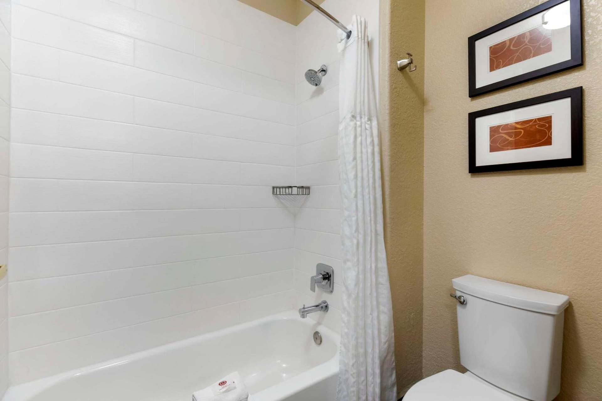 Comfort Suites Lakewood - Denver gallery photo in Lakewood, CO — image 28