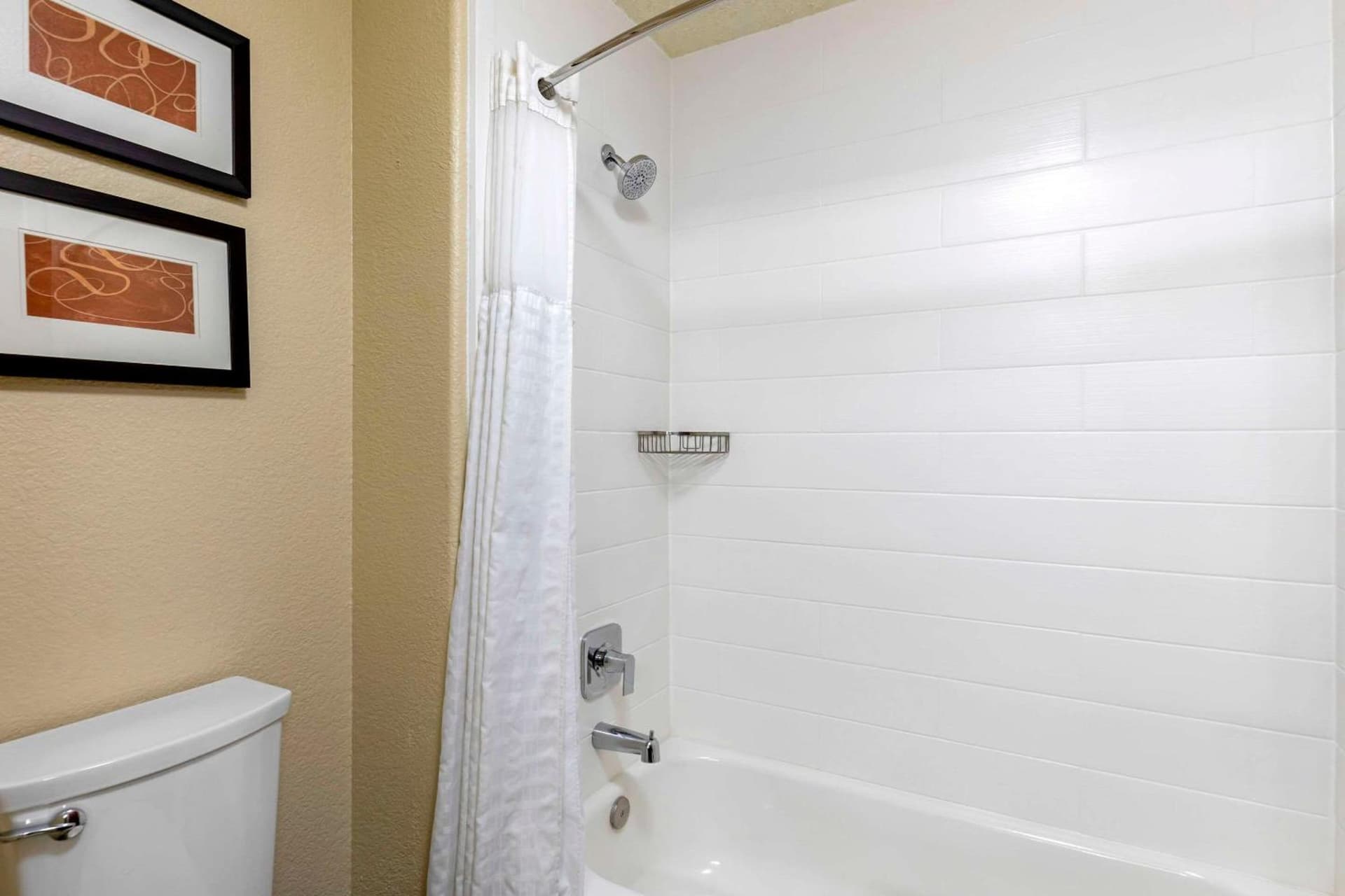 Comfort Suites Lakewood - Denver gallery photo in Lakewood, CO — image 14