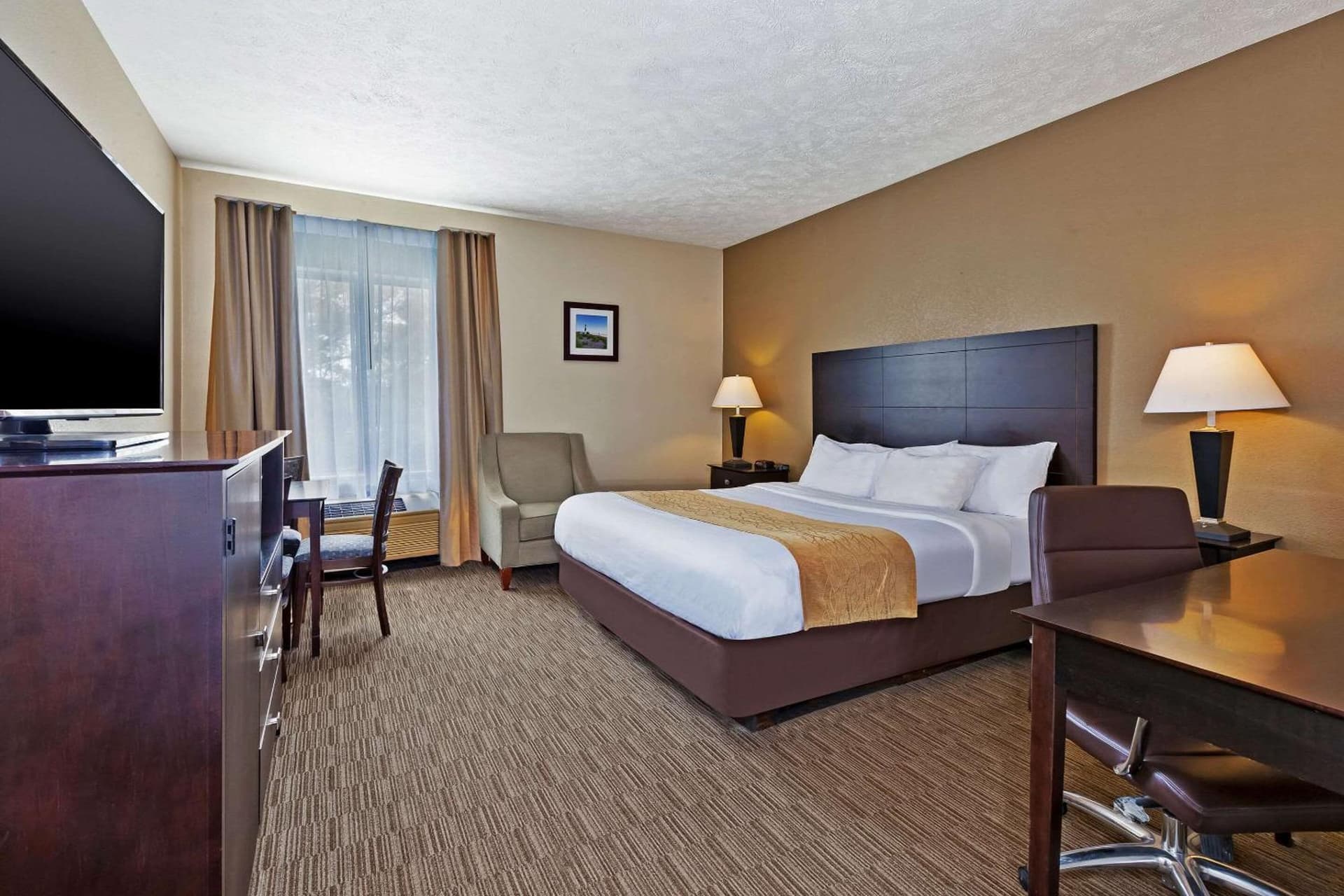 Comfort Inn Whitehall near Michigan's Adventure gallery photo in Whitehall, MI — image 6