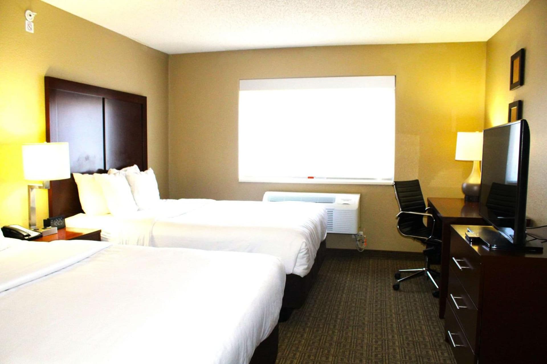 Comfort Suites Lakewood - Denver gallery photo in Lakewood, CO — image 20