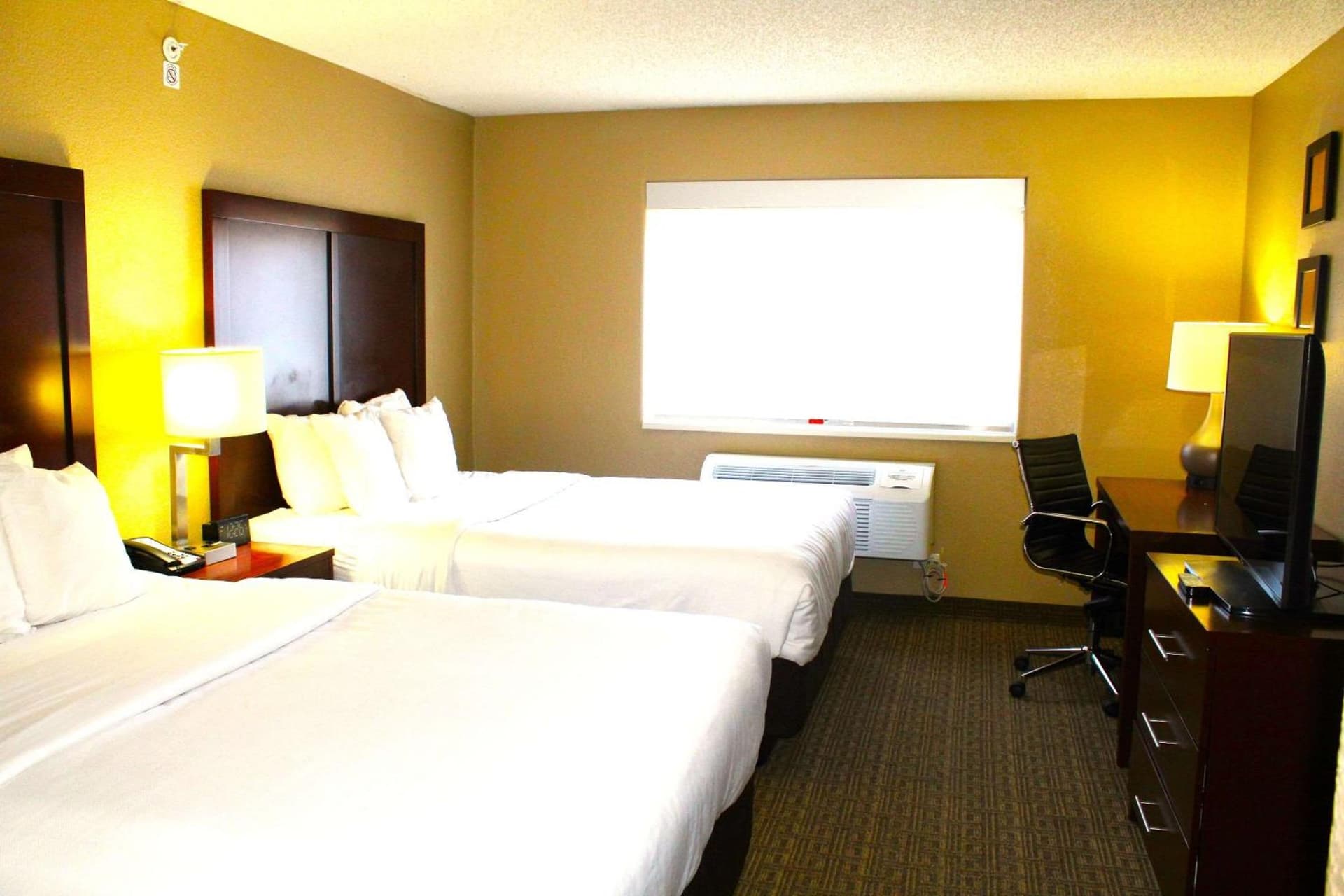 Comfort Suites Lakewood - Denver gallery photo in Lakewood, CO — image 16