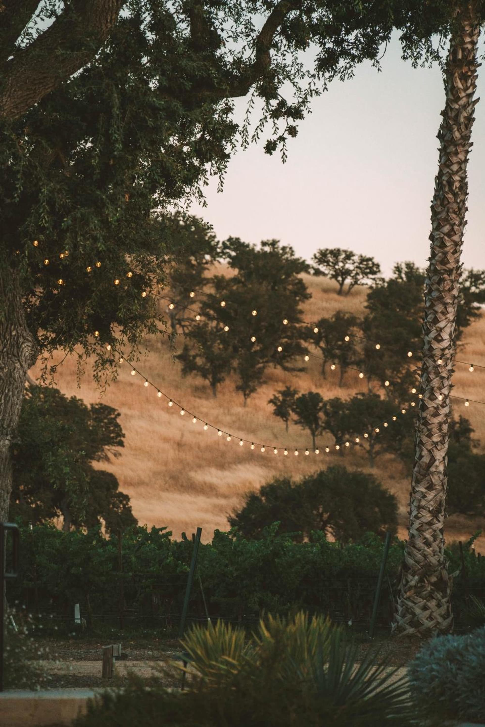Geneseo Inn gallery photo in Paso Robles, CA — image 72