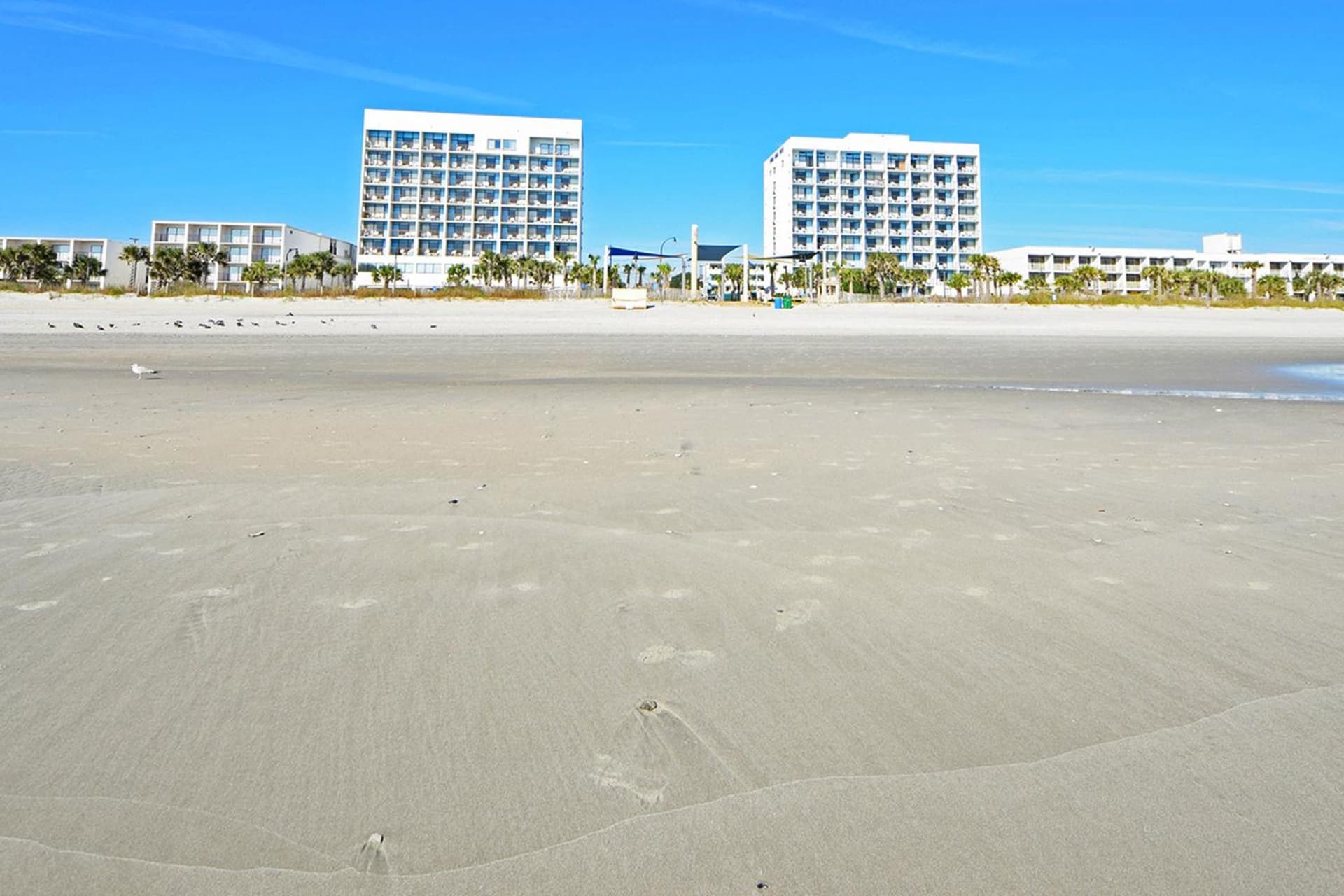 Holiday Sands North "On the Boardwalk" gallery photo in Myrtle Beach, SC — image 19